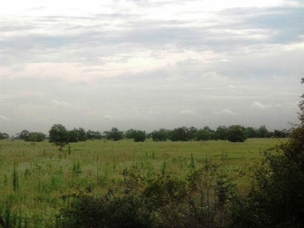 3466 Fm 362 Road Property Photo 6