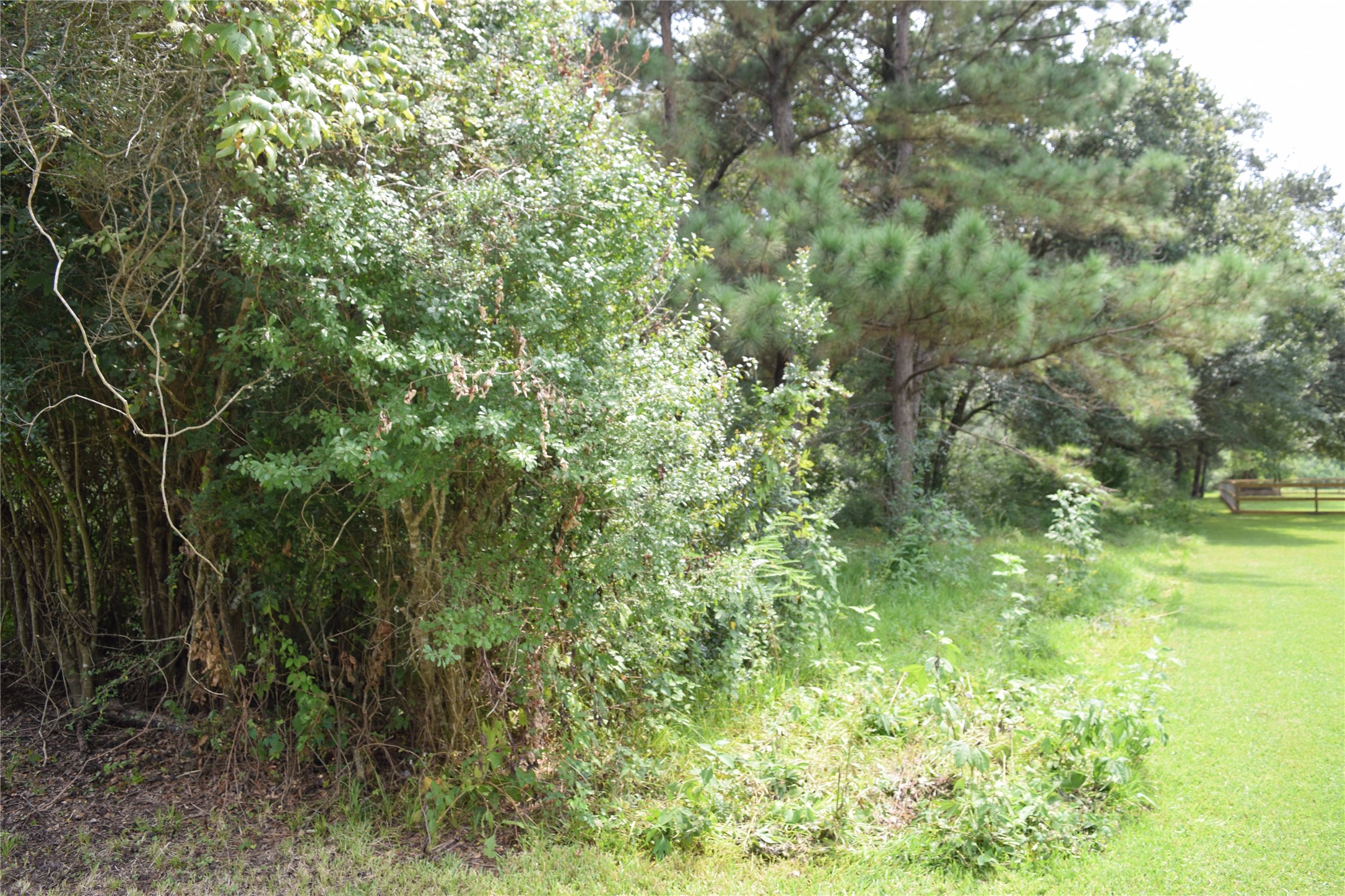 00 Belcher Road - Cr 397 Road Property Photo 4