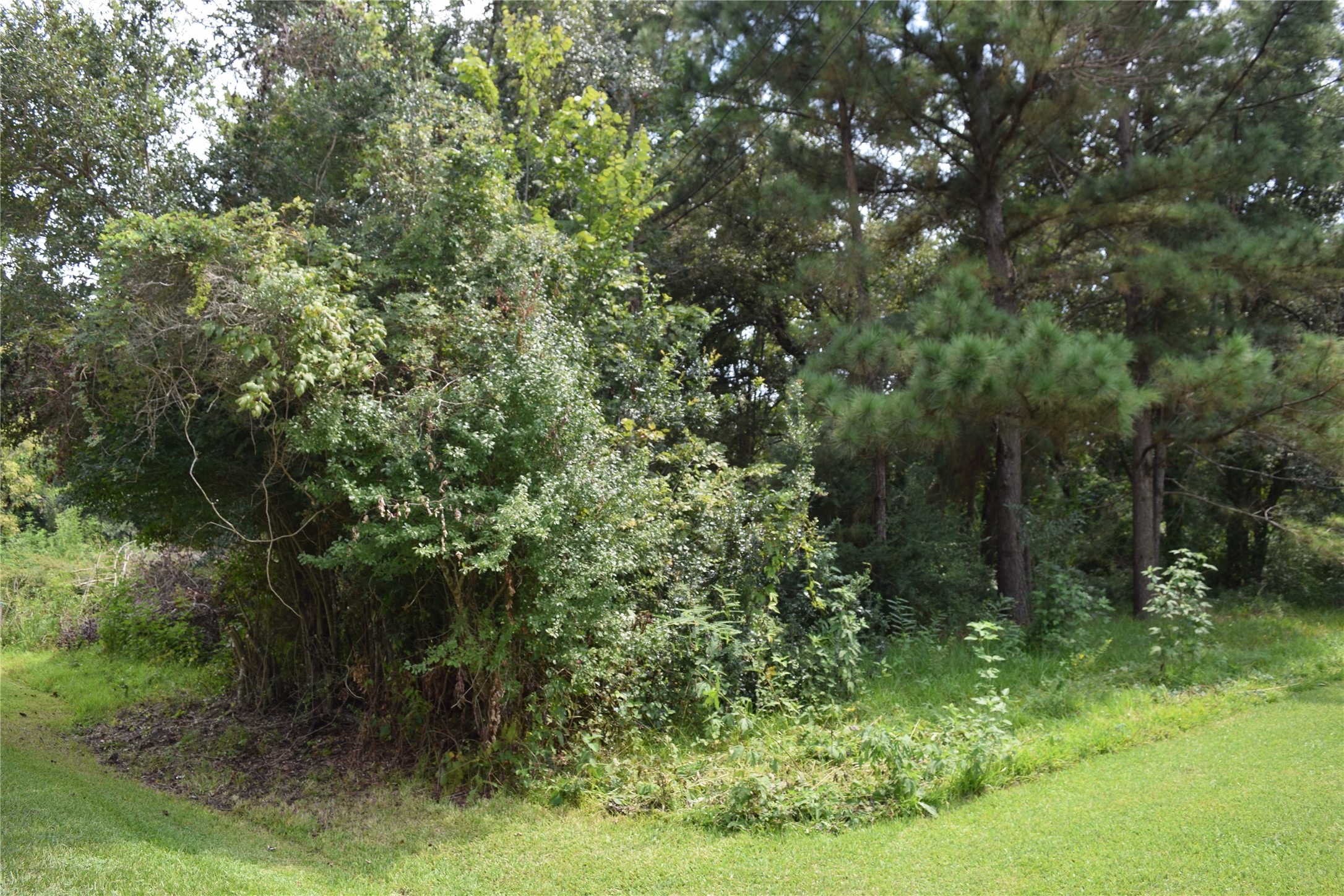 00 Belcher Road - Cr 397 Road Property Photo 5