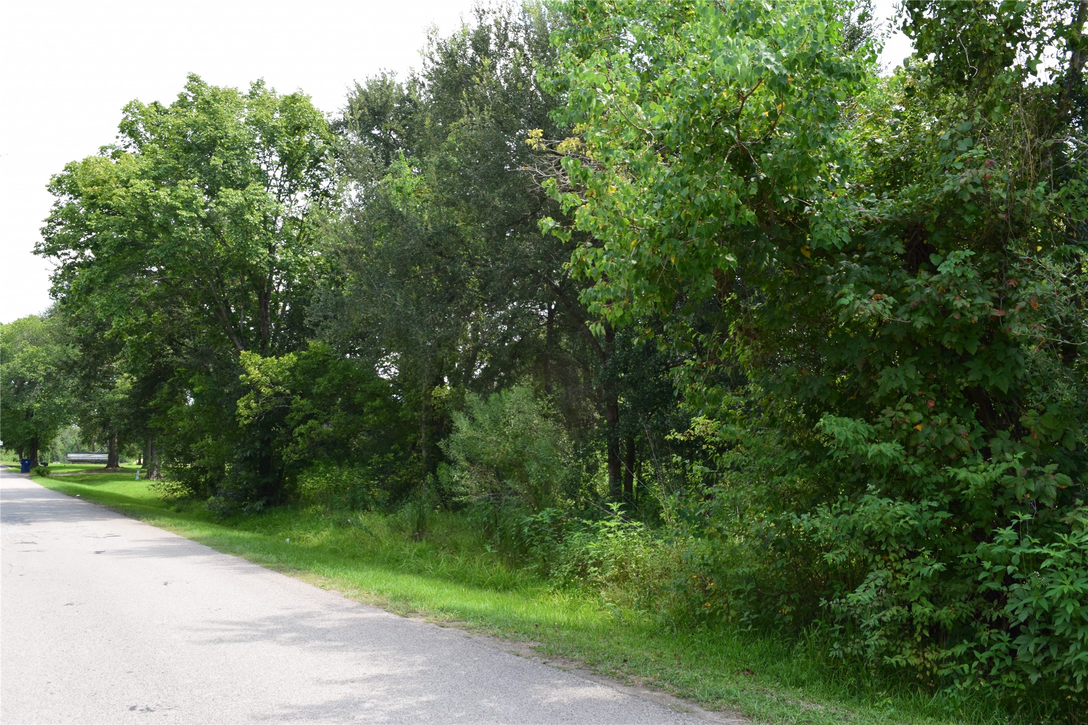 00 Belcher Road - Cr 397 Road Property Photo 8