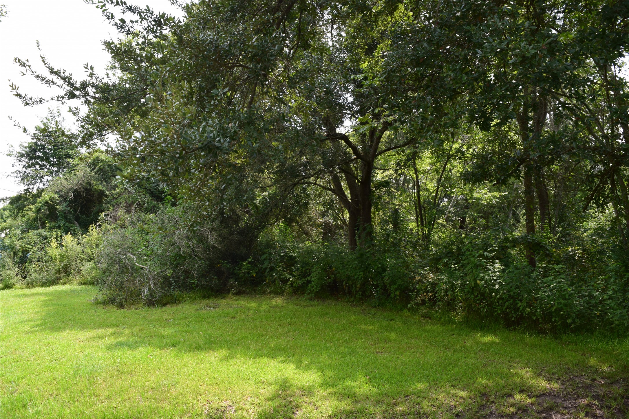 00 Belcher Road - Cr 397 Road Property Photo 9
