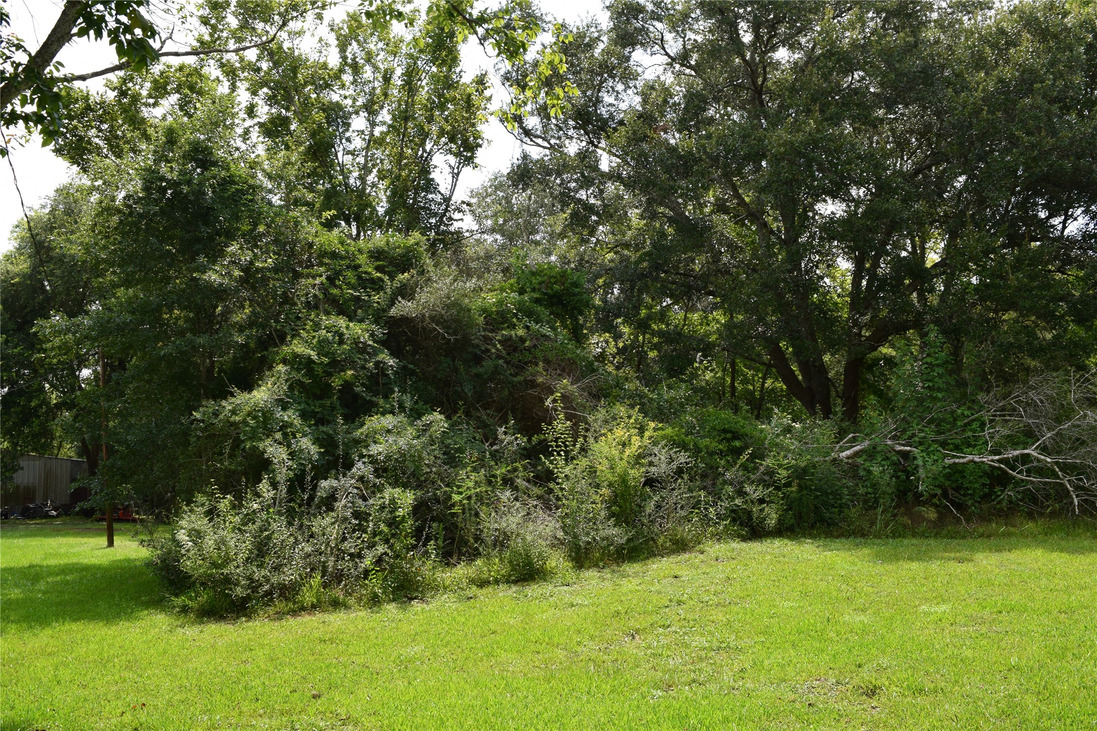 00 Belcher Road - Cr 397 Road Property Photo 10