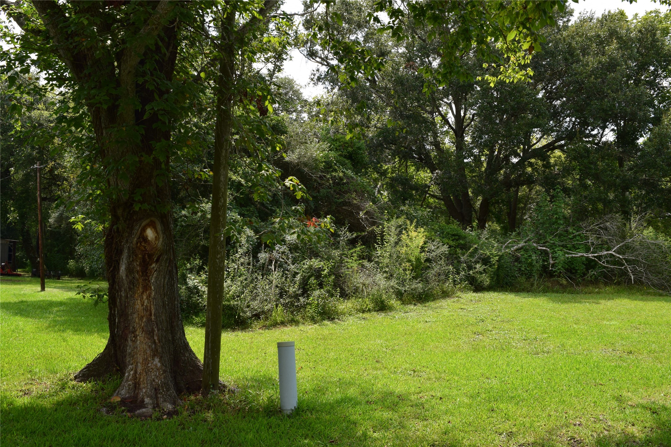 00 Belcher Road - Cr 397 Road Property Photo 11