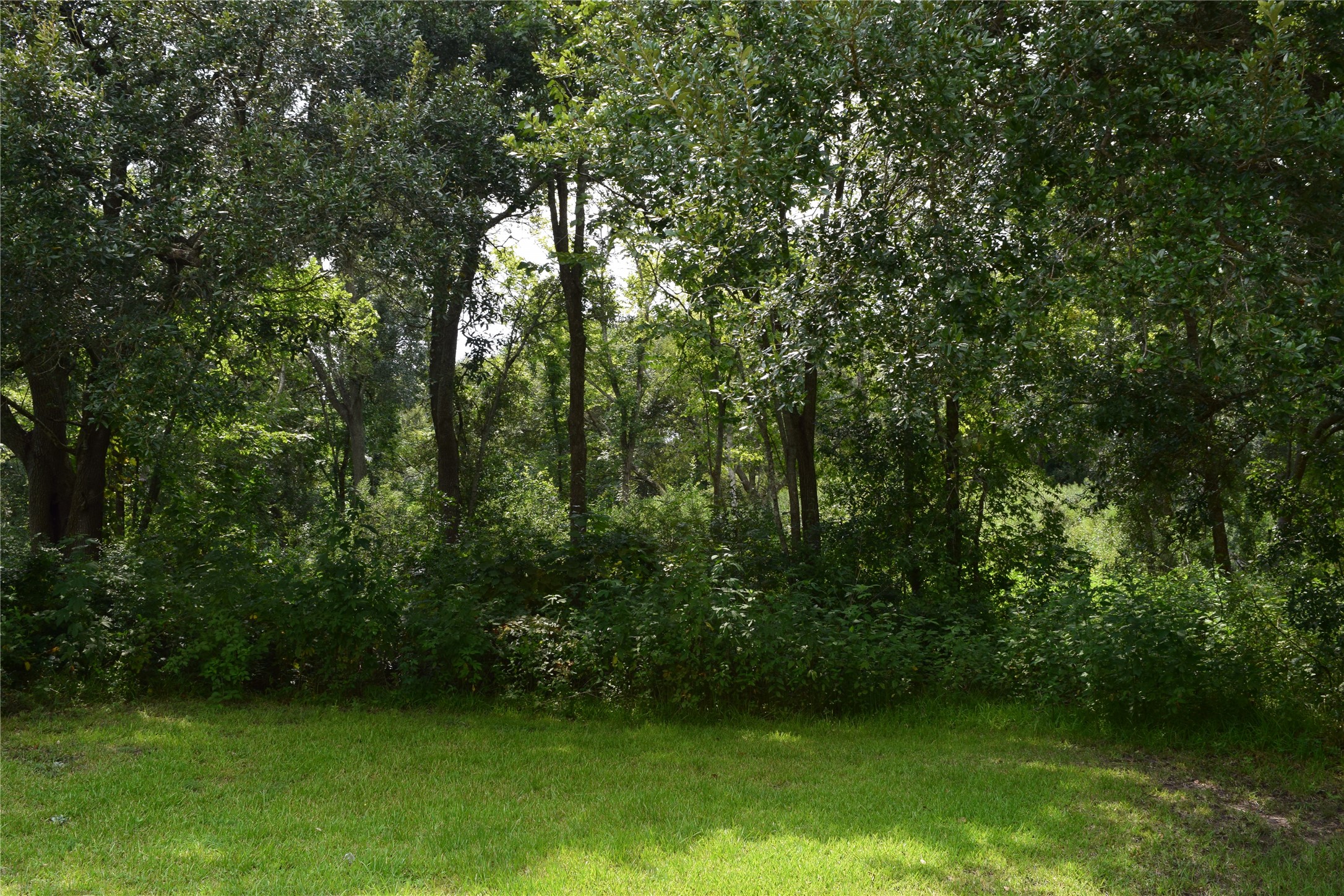 00 Belcher Road - Cr 397 Road Property Photo 12