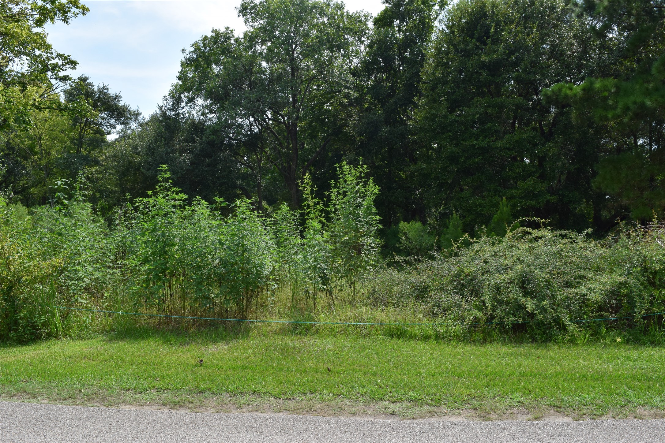00 Belcher Road - Cr 397 Road Property Photo 13