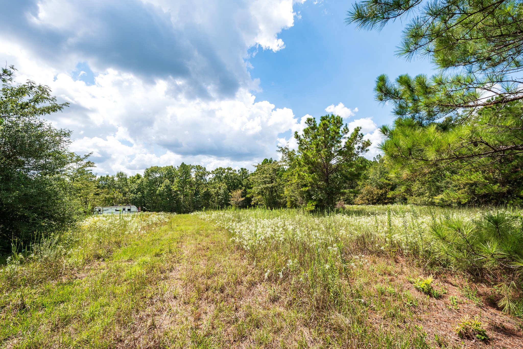 701 Camilla Lake Road Property Photo 14