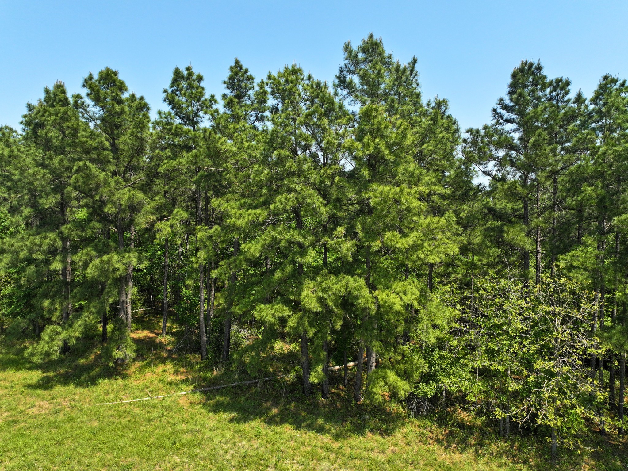 1 Lost Creek Road Property Photo 5
