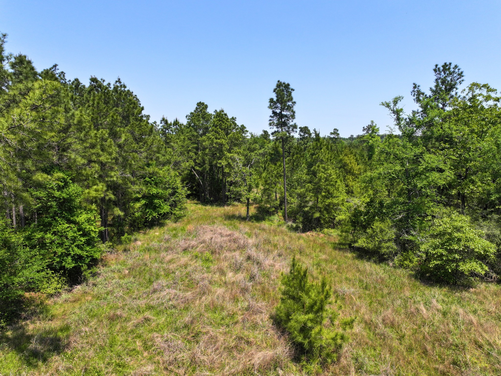 1 Lost Creek Road Property Photo 8