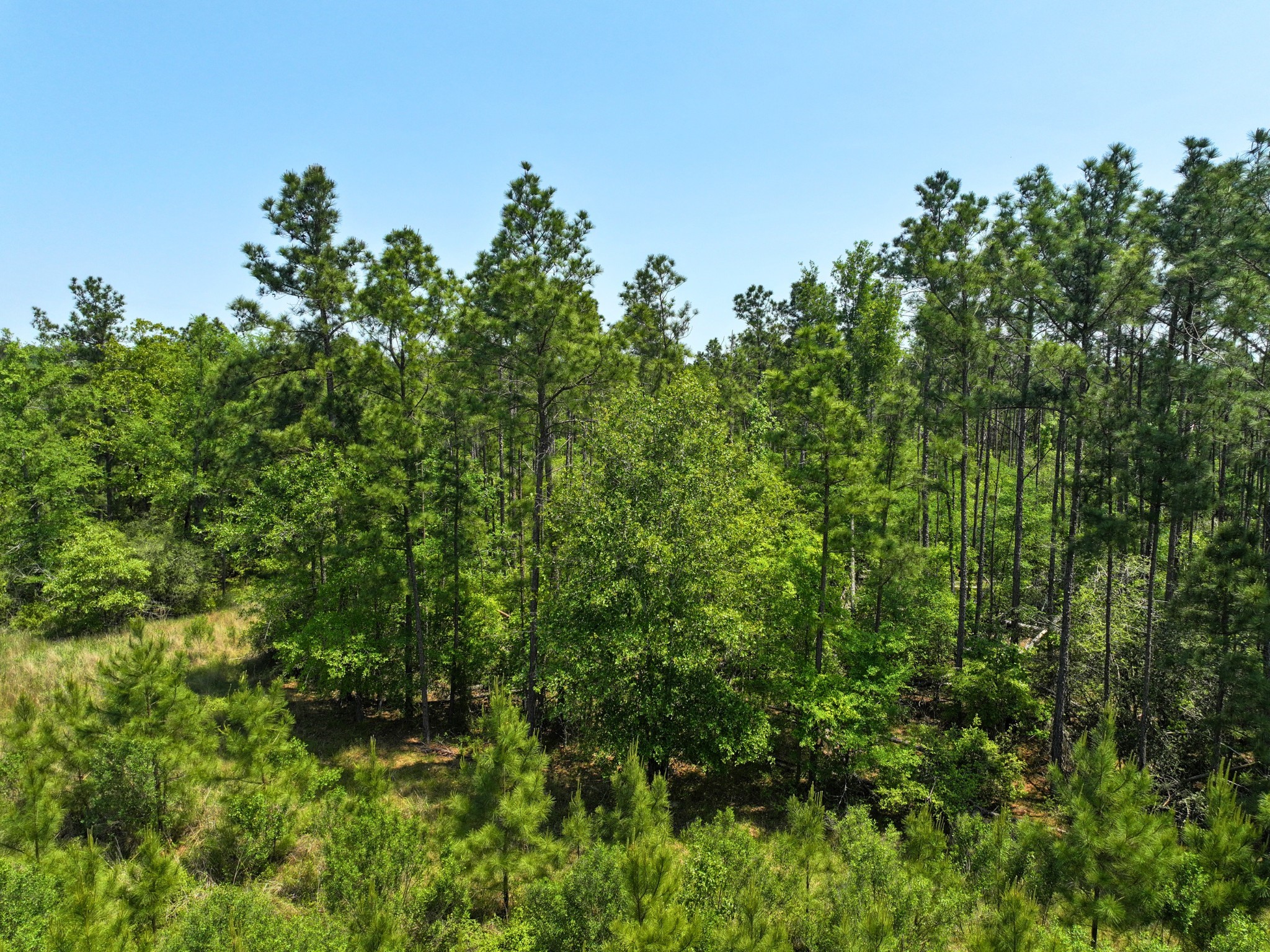 1 Lost Creek Road Property Photo 9