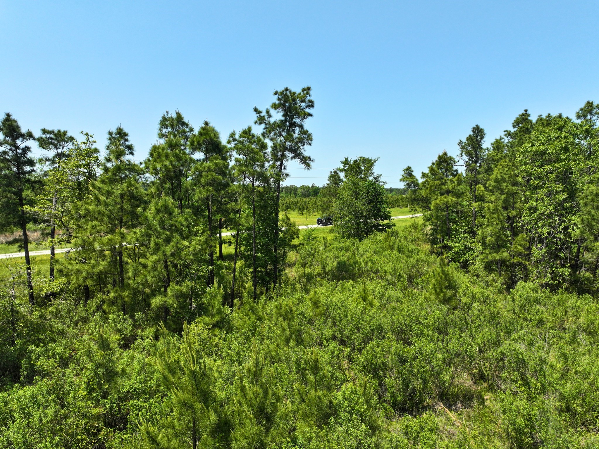 1 Lost Creek Road Property Photo 10