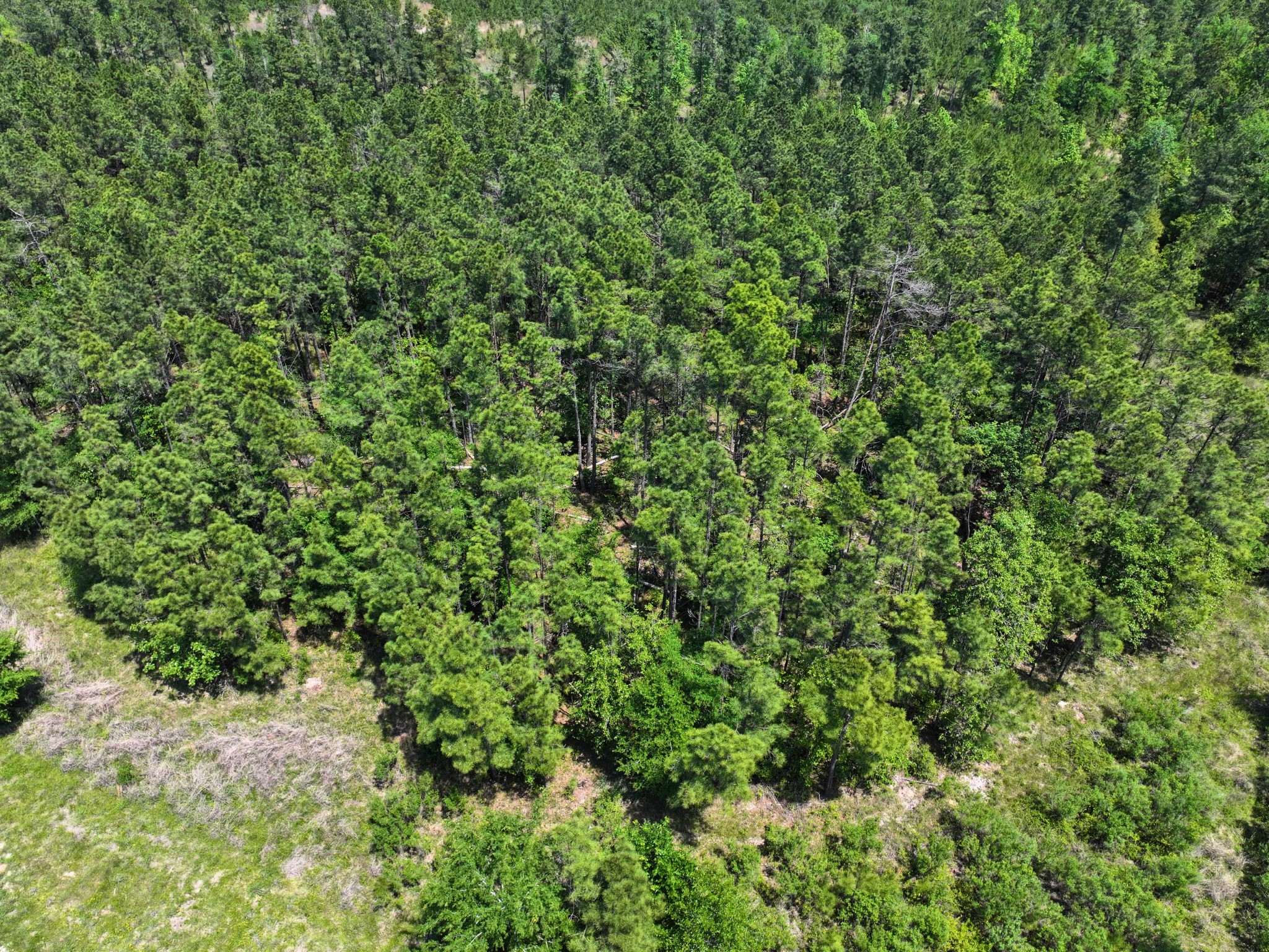 1 Lost Creek Road Property Photo 12