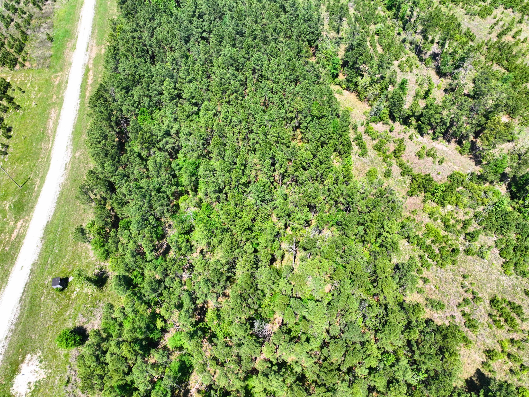 1 Lost Creek Road Property Photo 13