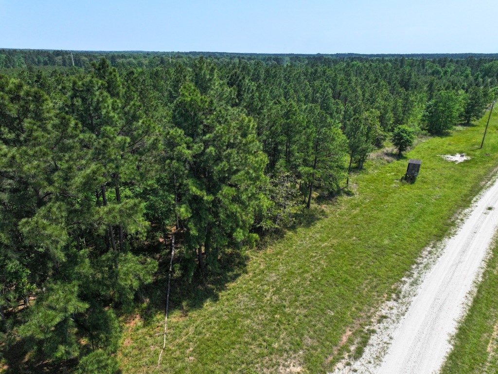 1 Lost Creek Road Property Photo 15