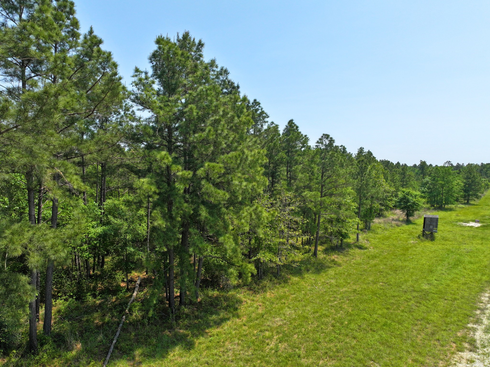 1 Lost Creek Road Property Photo 16