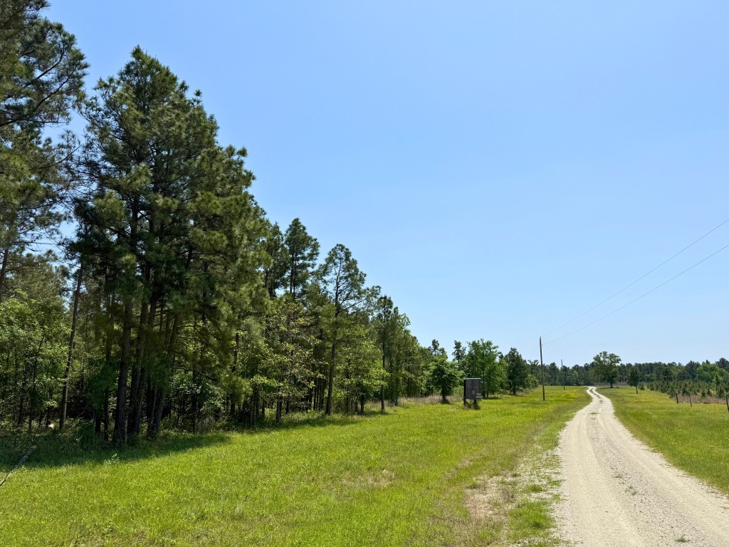 1 Lost Creek Road Property Photo 17