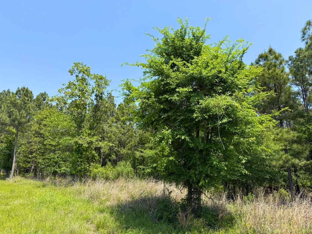 1 Lost Creek Road Property Photo 20