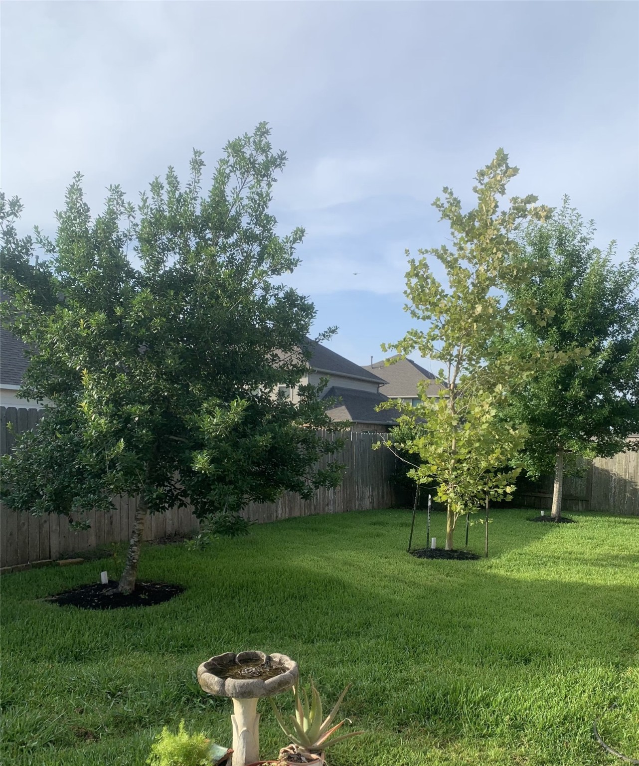 16022 Sydneyann Drive Property Photo 32