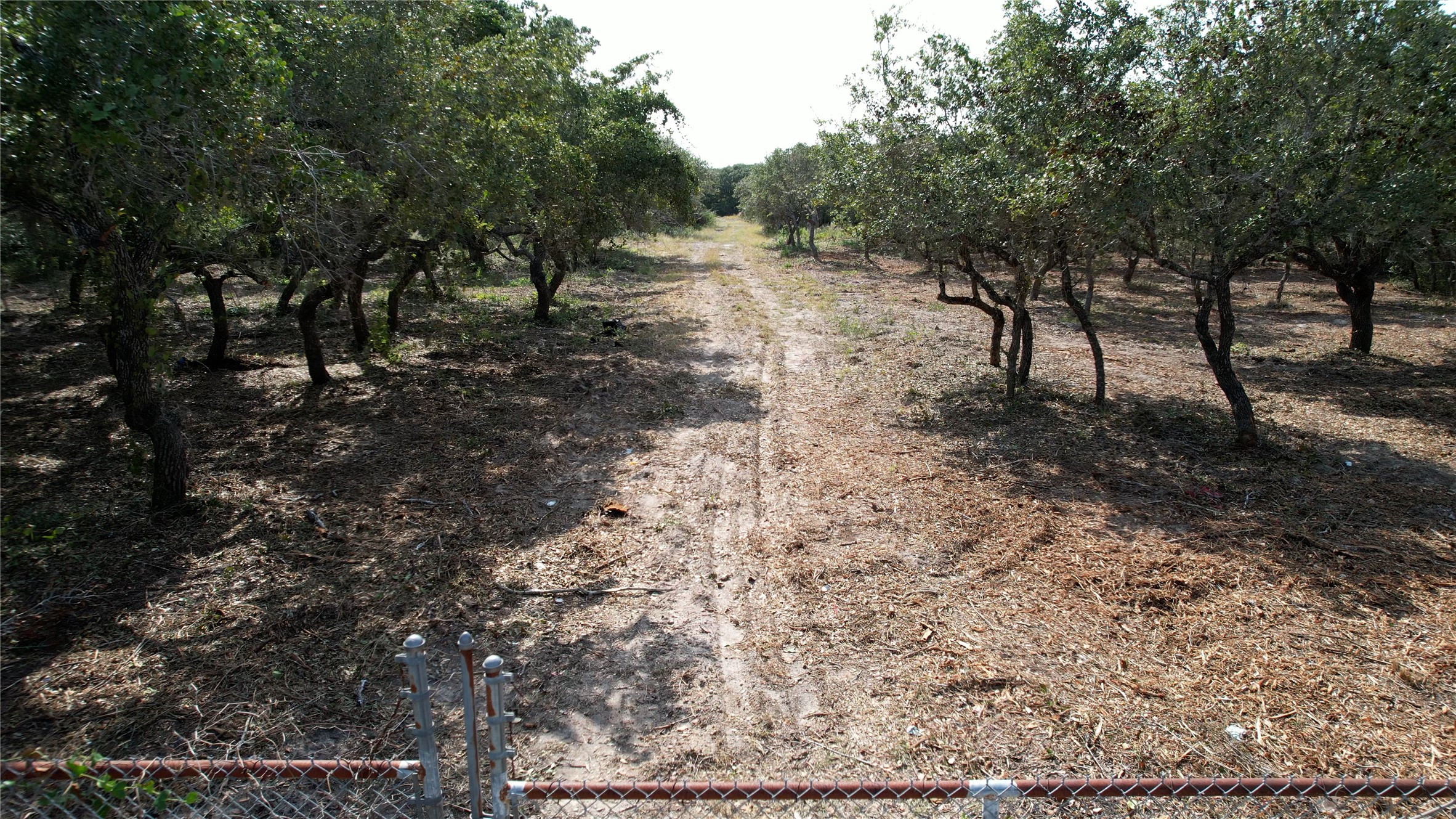 2525 12th Street Property Photo 7
