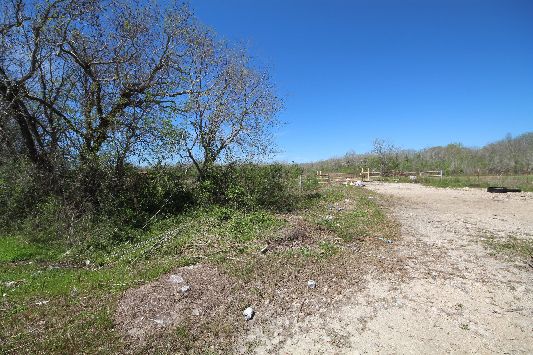 Tbd Texas Hwy 288 S Property Photo 12