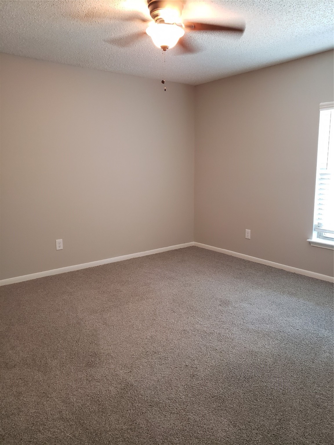 8714 Warrenford Drive Property Photo 18