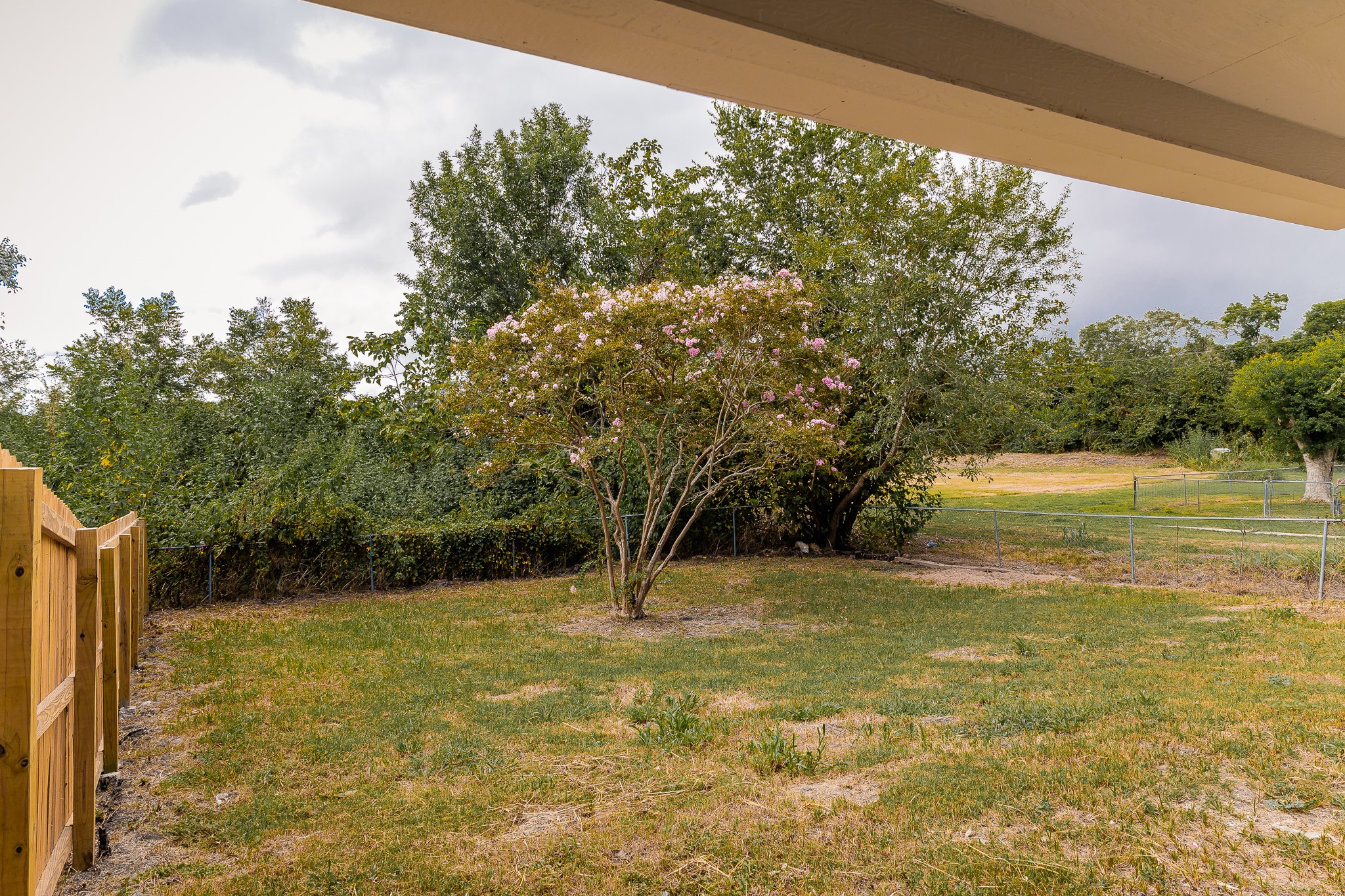 811 Matchett Property Photo 13
