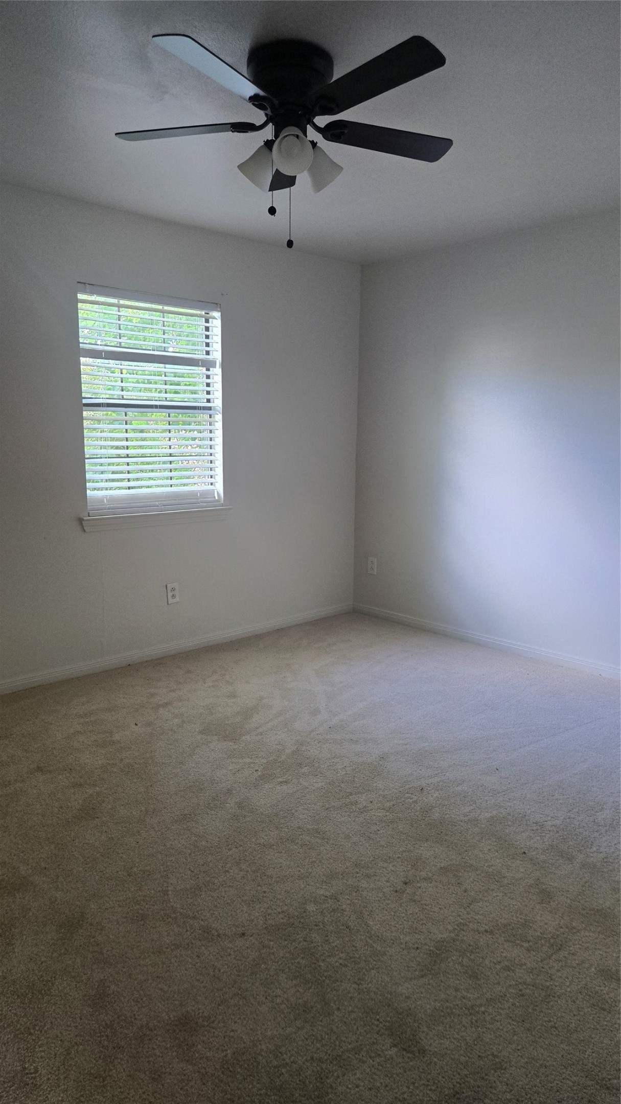 4745 5th Street Property Photo 8