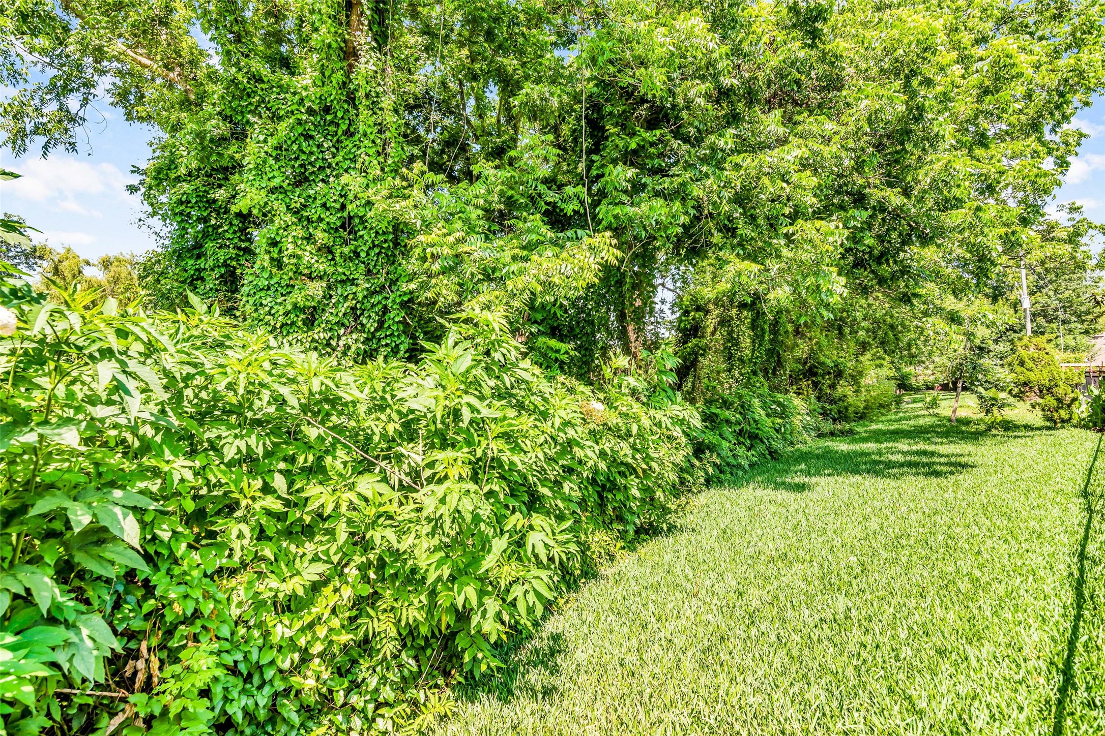 13506 Schumann Trail Property Photo 32