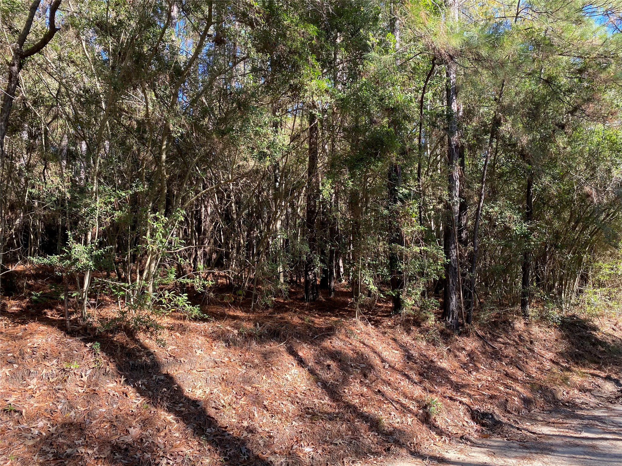 6442 Fm-3065 Property Photo 2