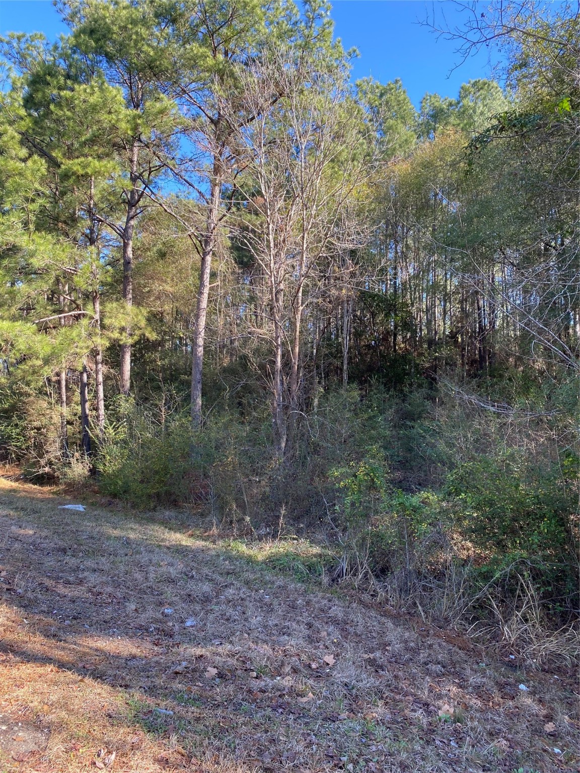 6442 Fm-3065 Property Photo 5