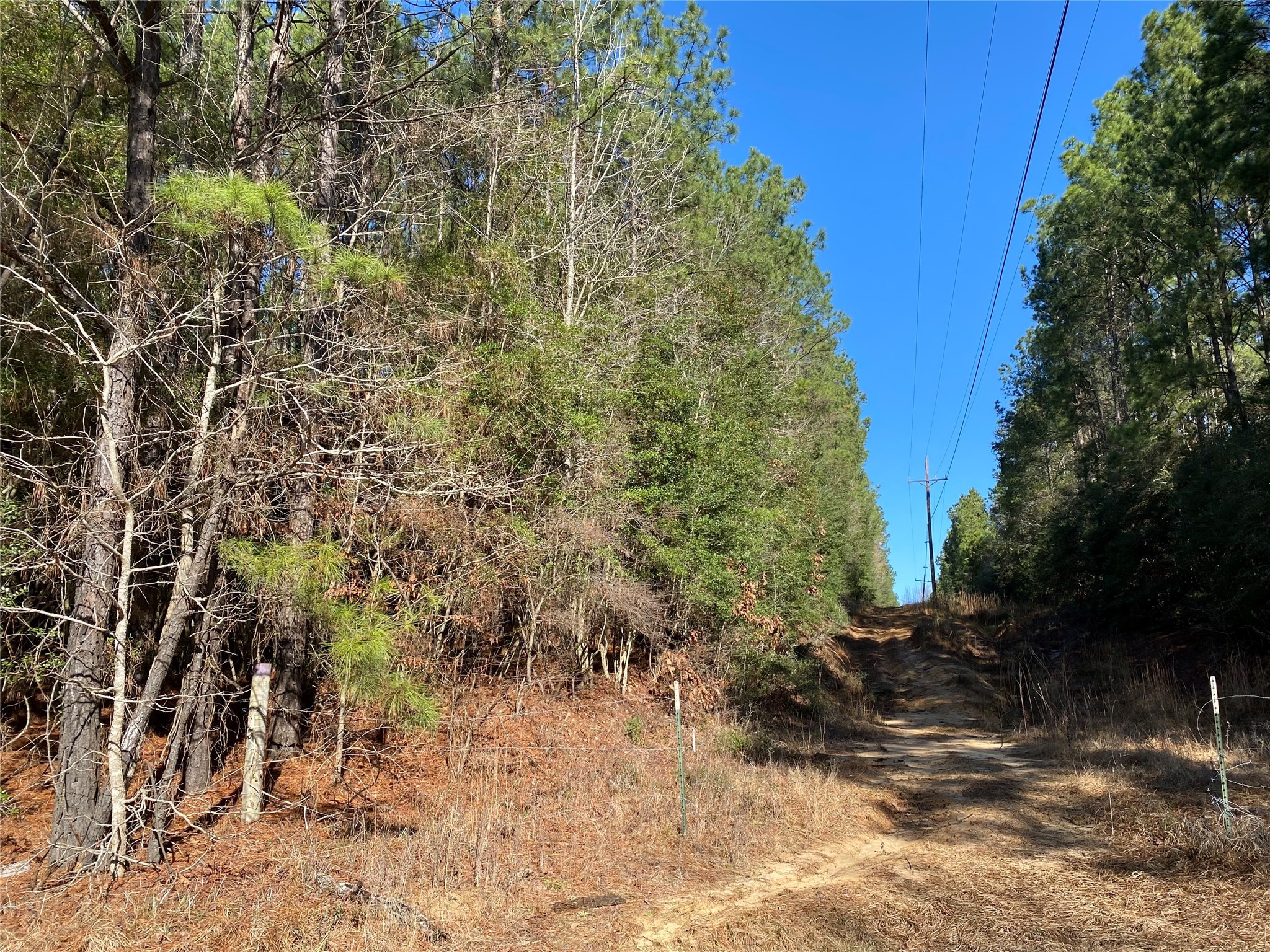 6442 Fm-3065 Property Photo 9