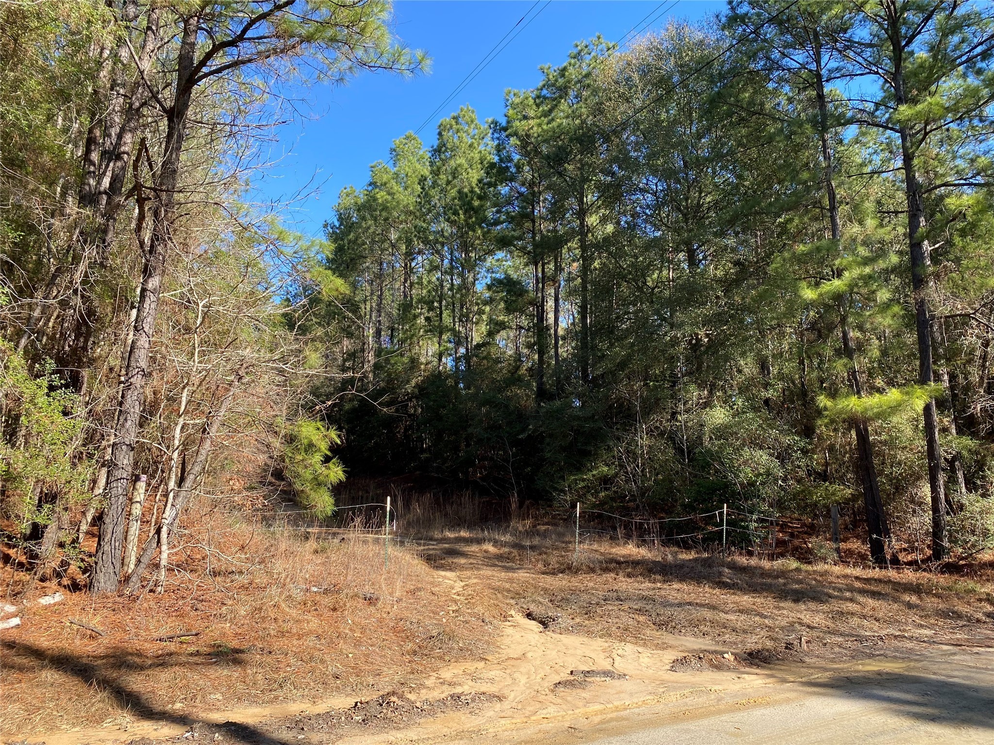 6442 Fm-3065 Property Photo 10