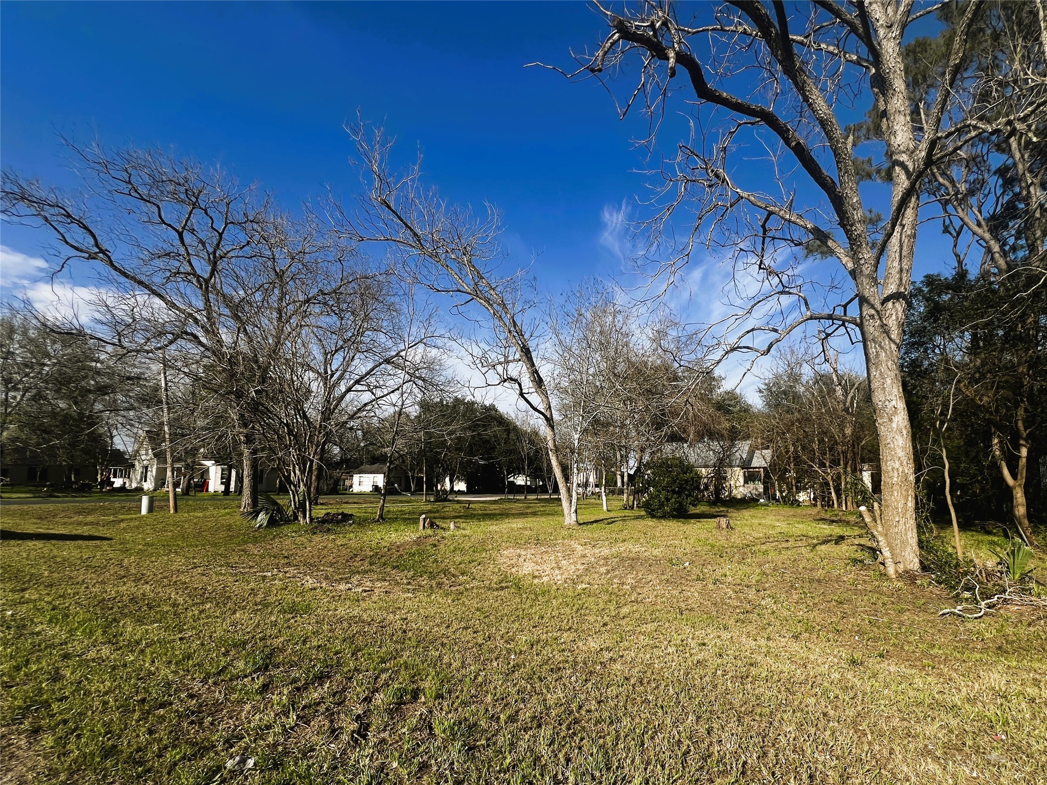 210 Shropshire Street Property Photo 3