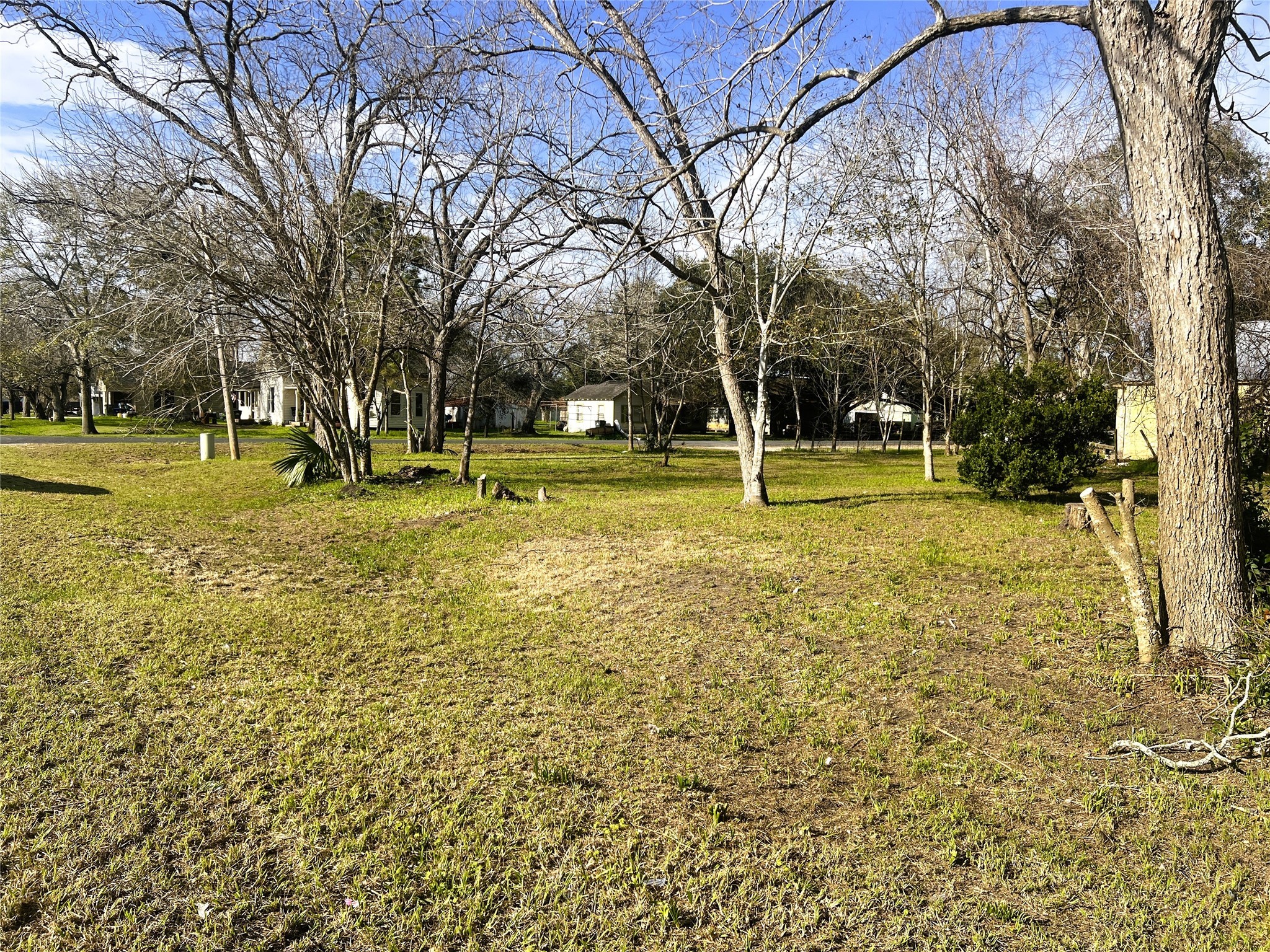 210 Shropshire Street Property Photo 5