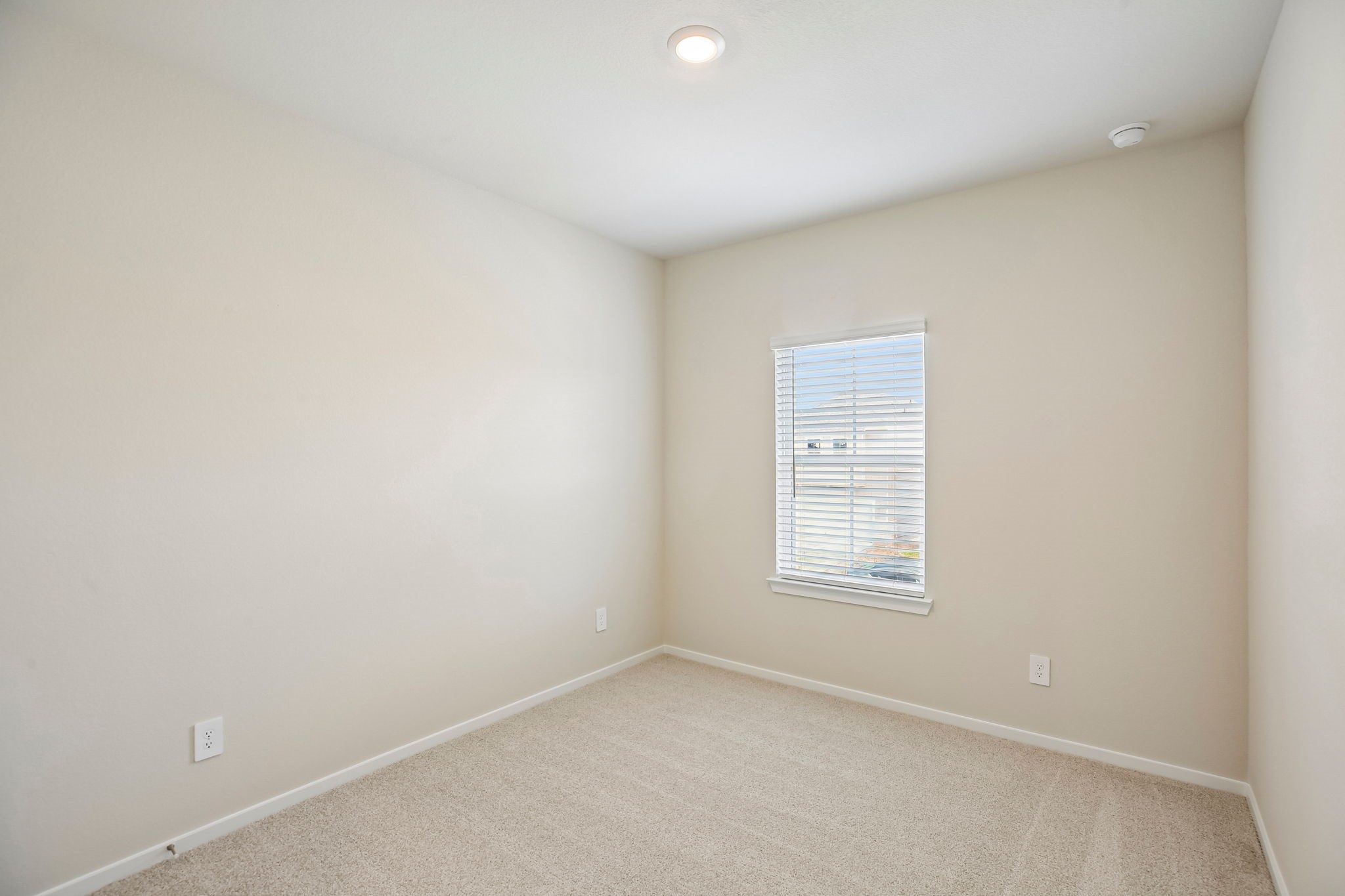 1007 Cedar Place Lane Property Photo 5