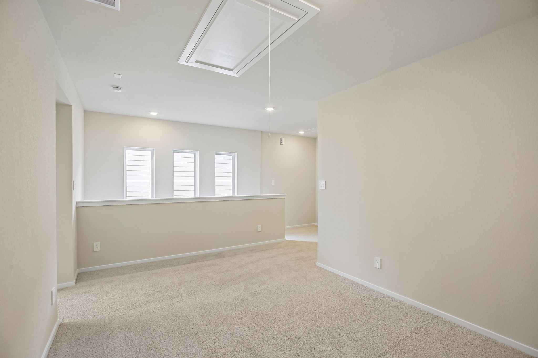 1007 Cedar Place Lane Property Photo 28