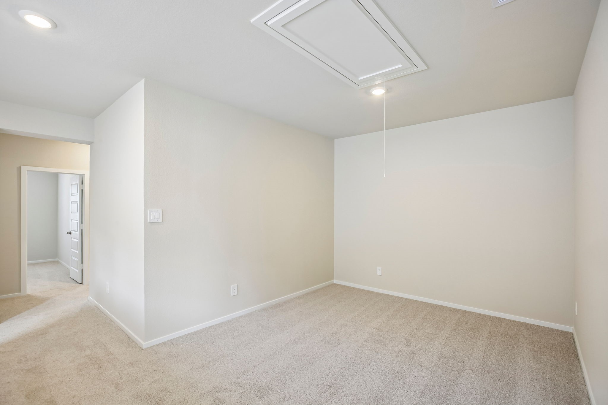 1007 Cedar Place Lane Property Photo 30