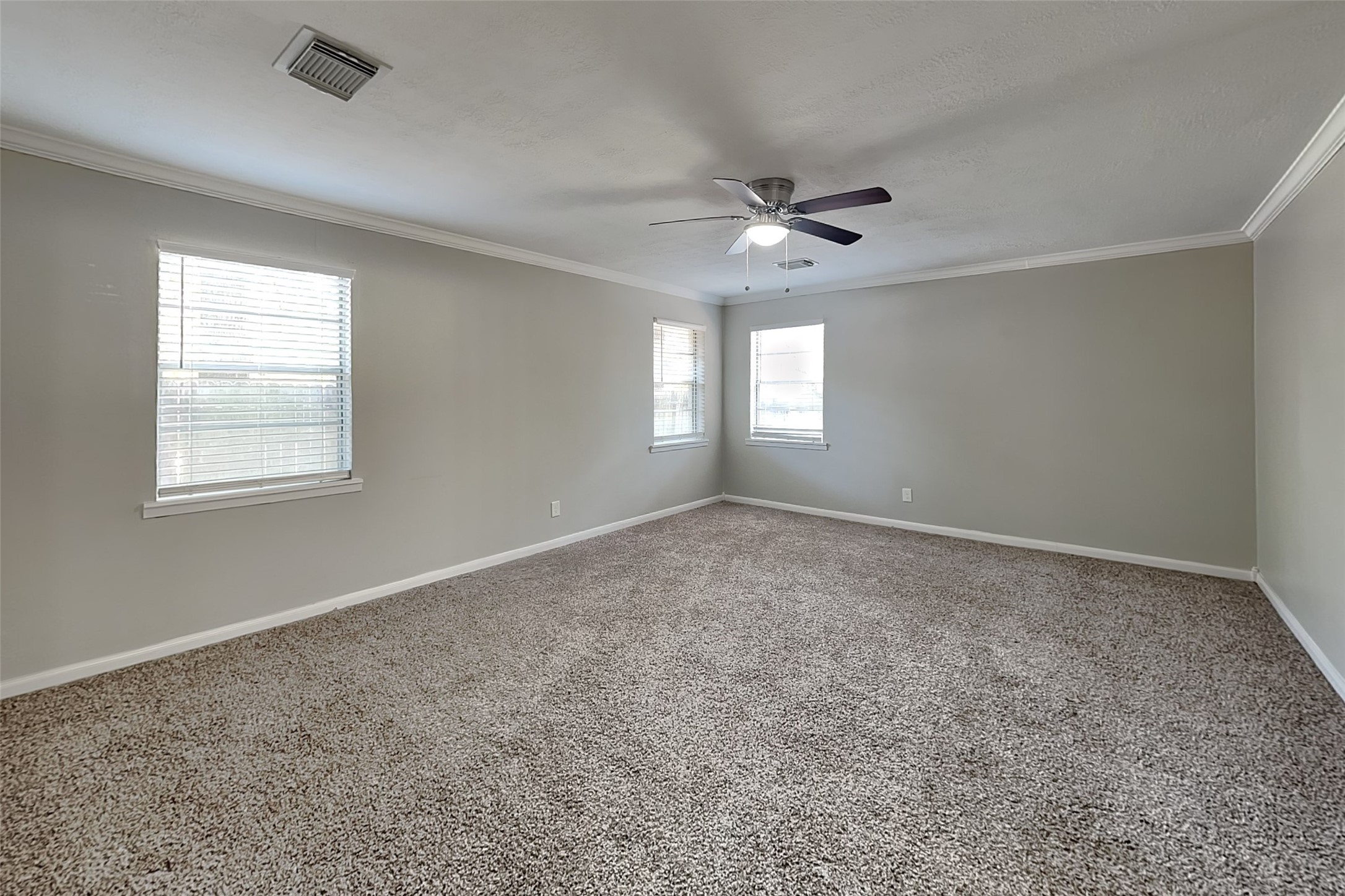 246 Spring Pines Drive Property Photo 11