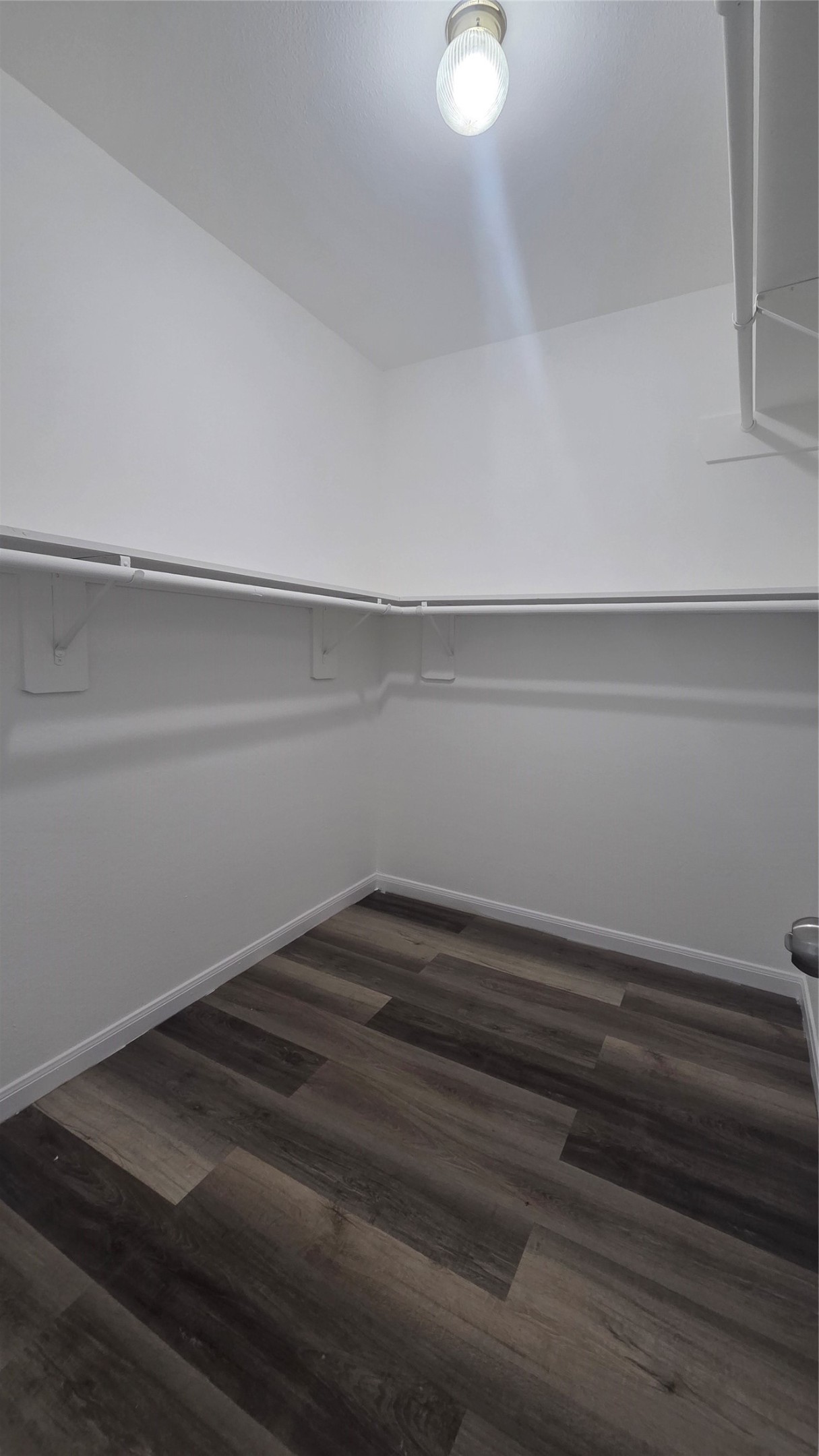 4121 Mallow Street A/b Property Photo 21