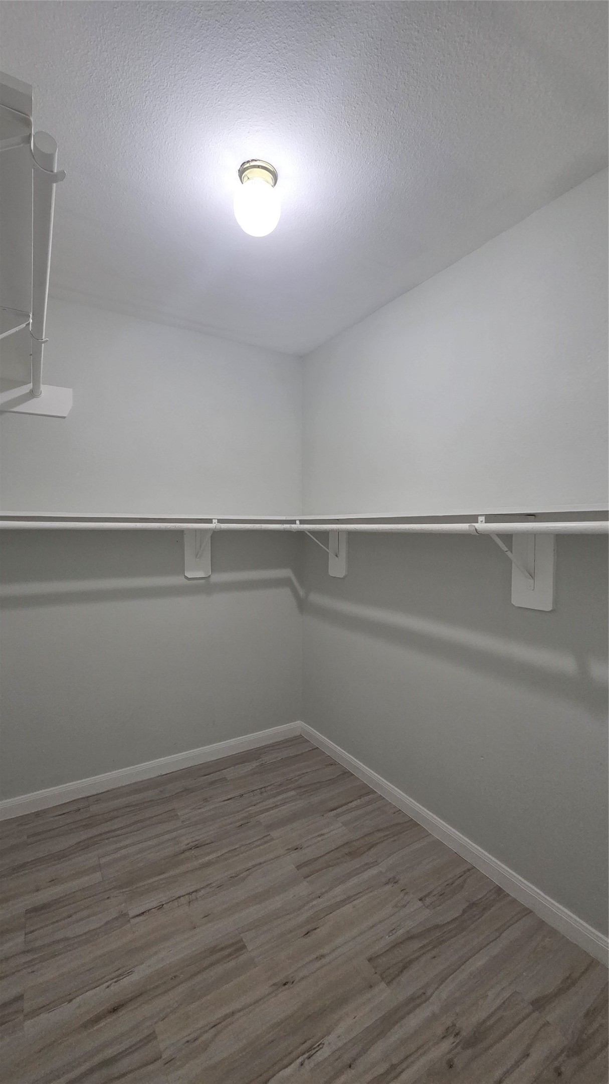 4121 Mallow Street A/b Property Photo 48