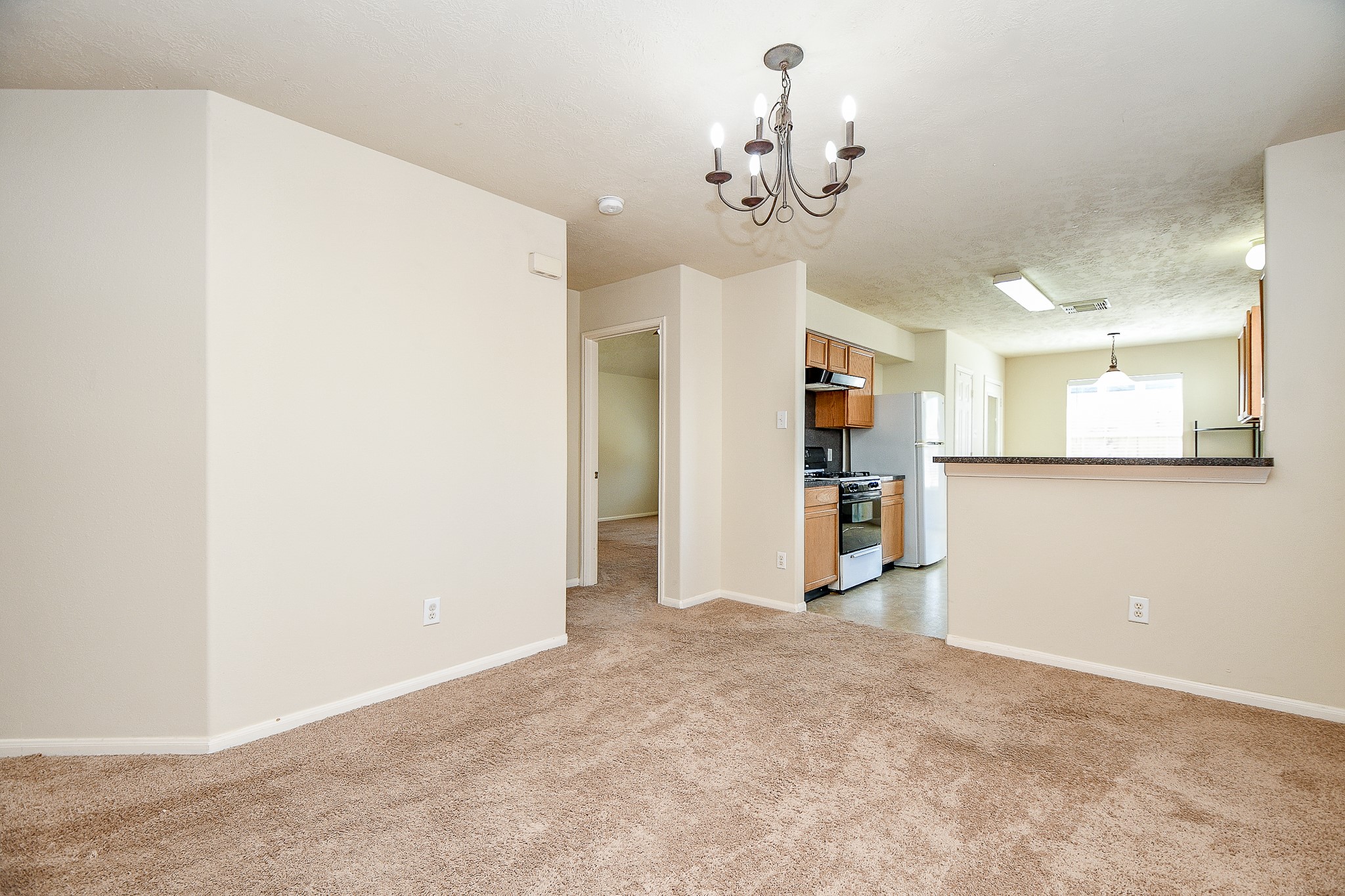 13979 Maximos Dr Property Photo 11