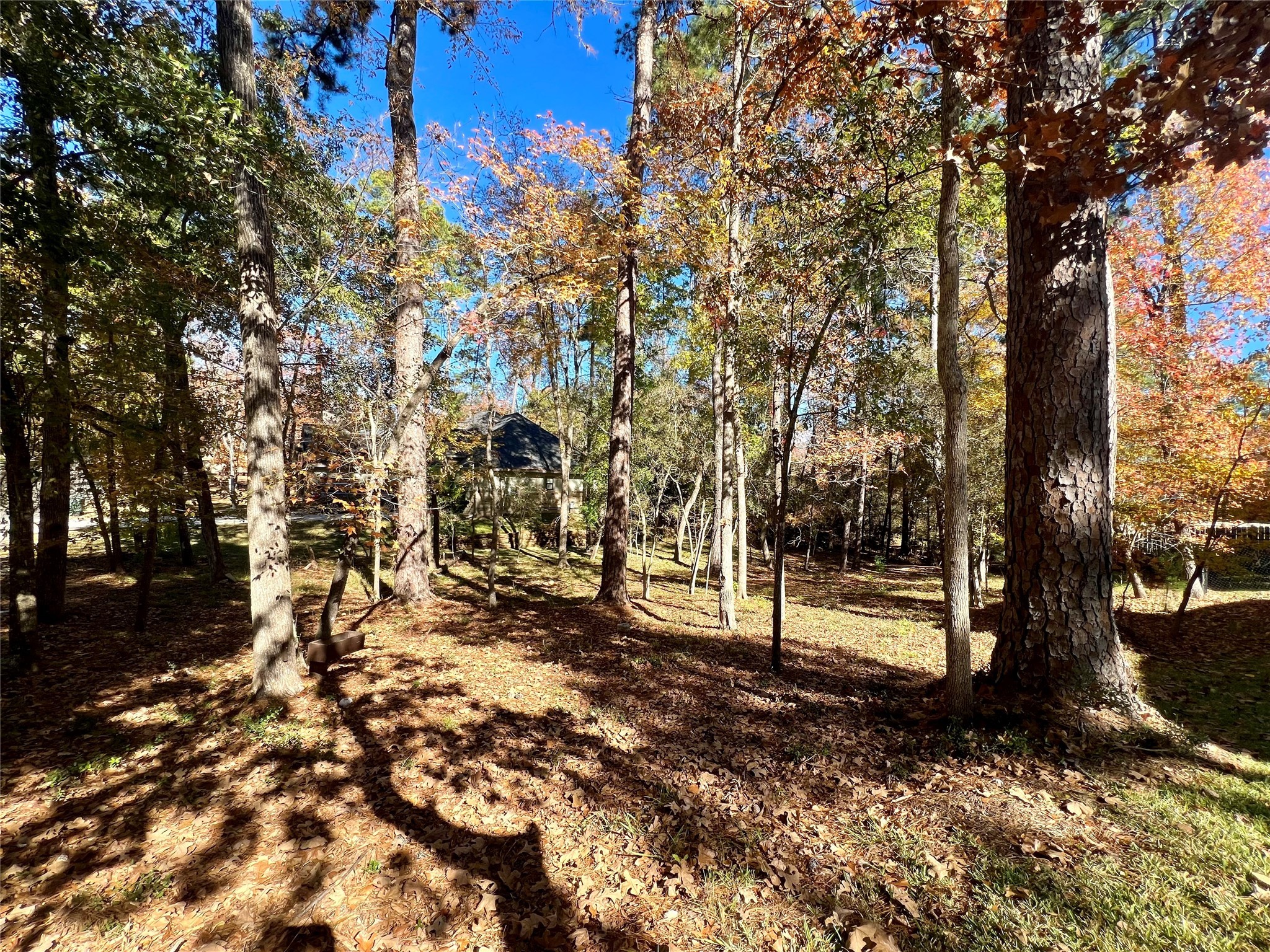 1404 River Oaks Drive Property Photo 4