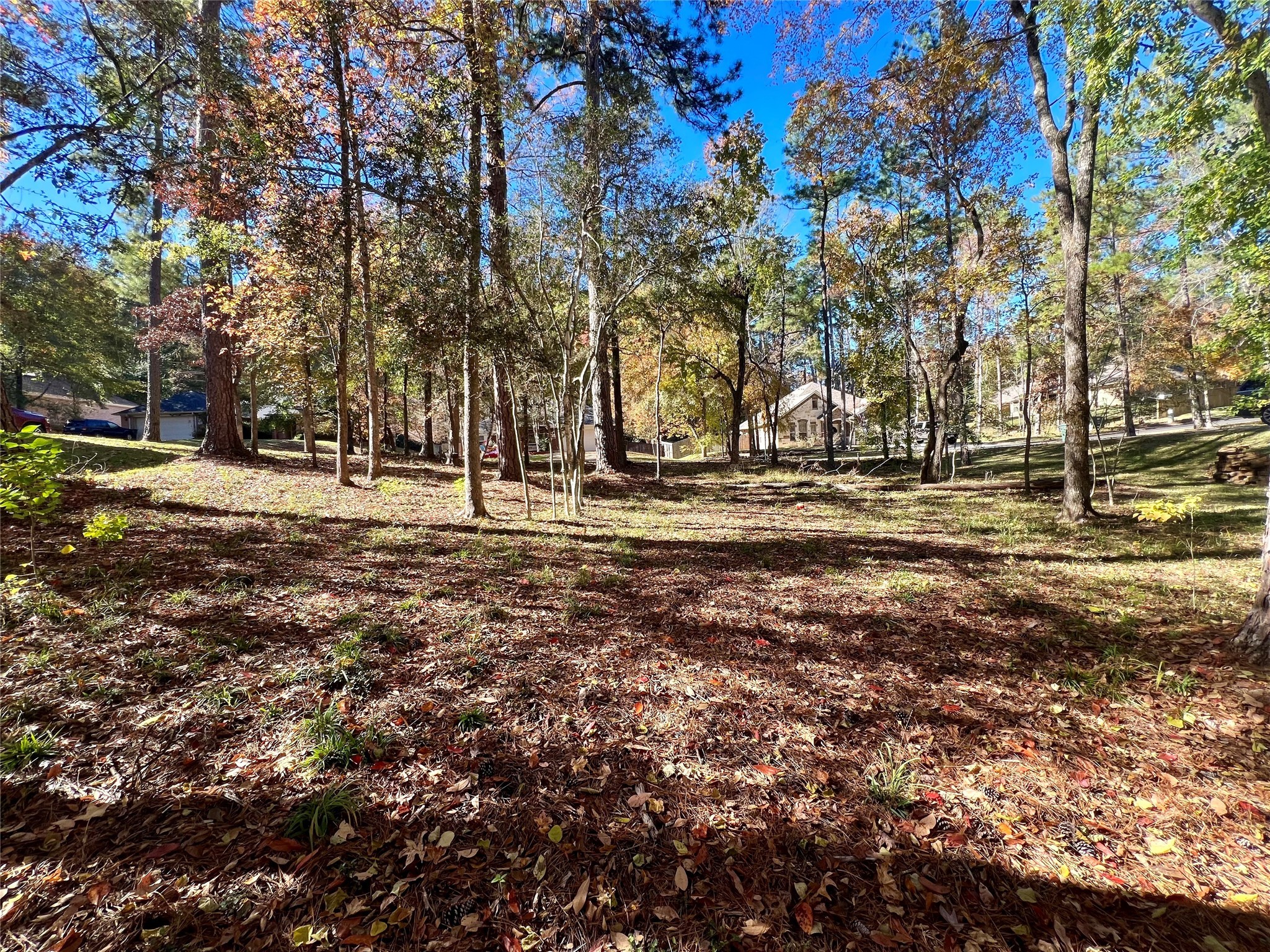 1404 River Oaks Drive Property Photo 6