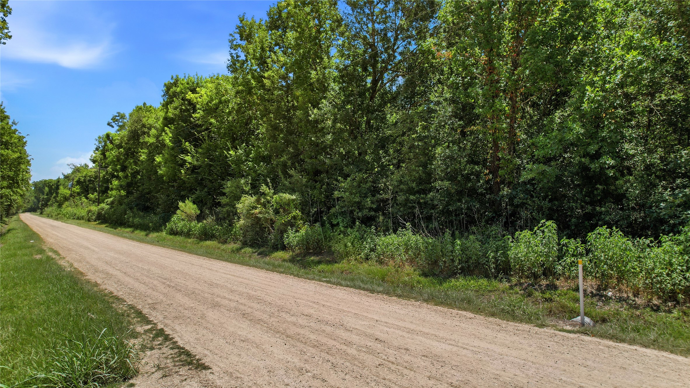 000 County Road 133 Off Property Photo 17