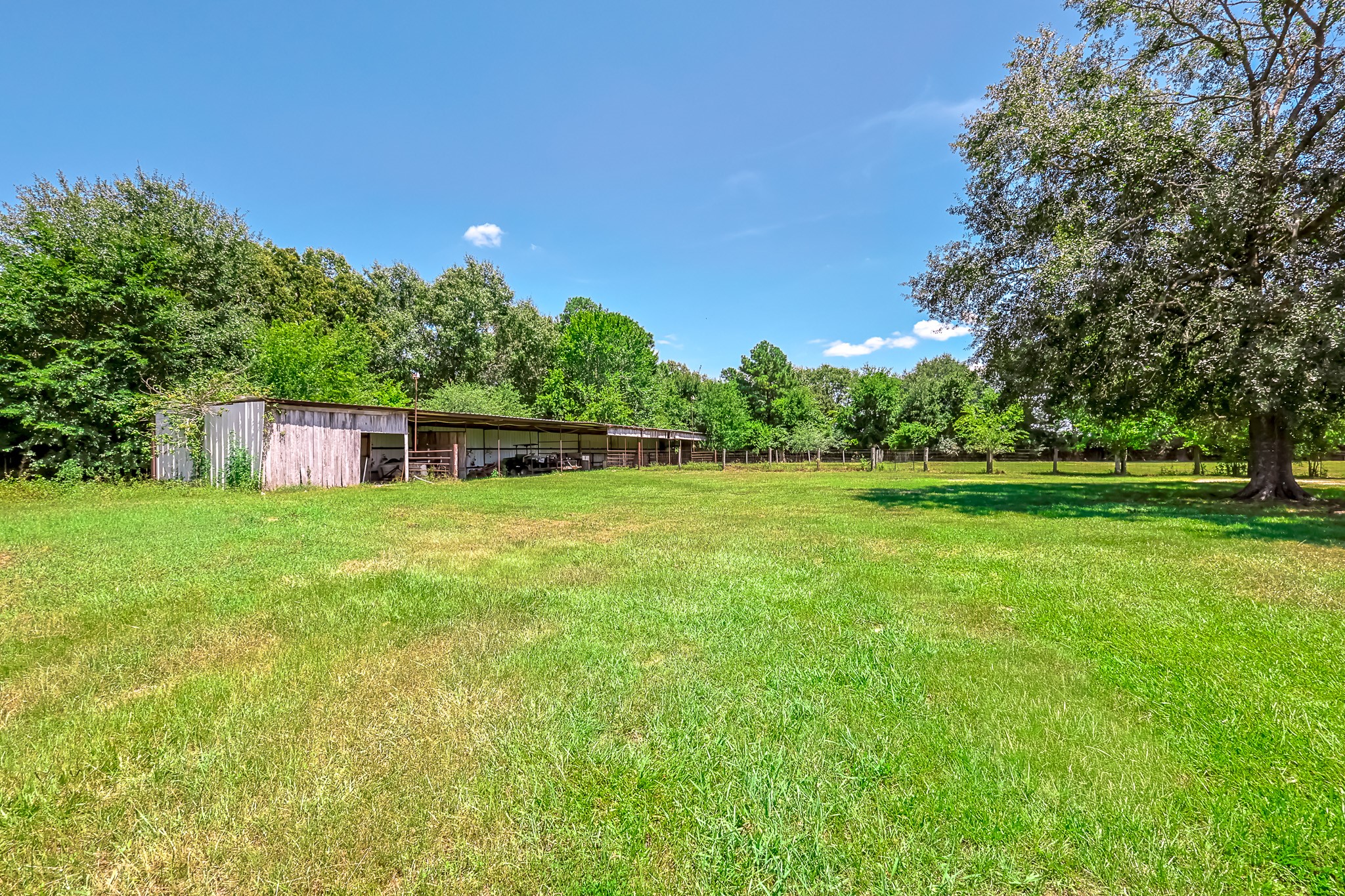 1066 Tafelski Road Property Photo 41