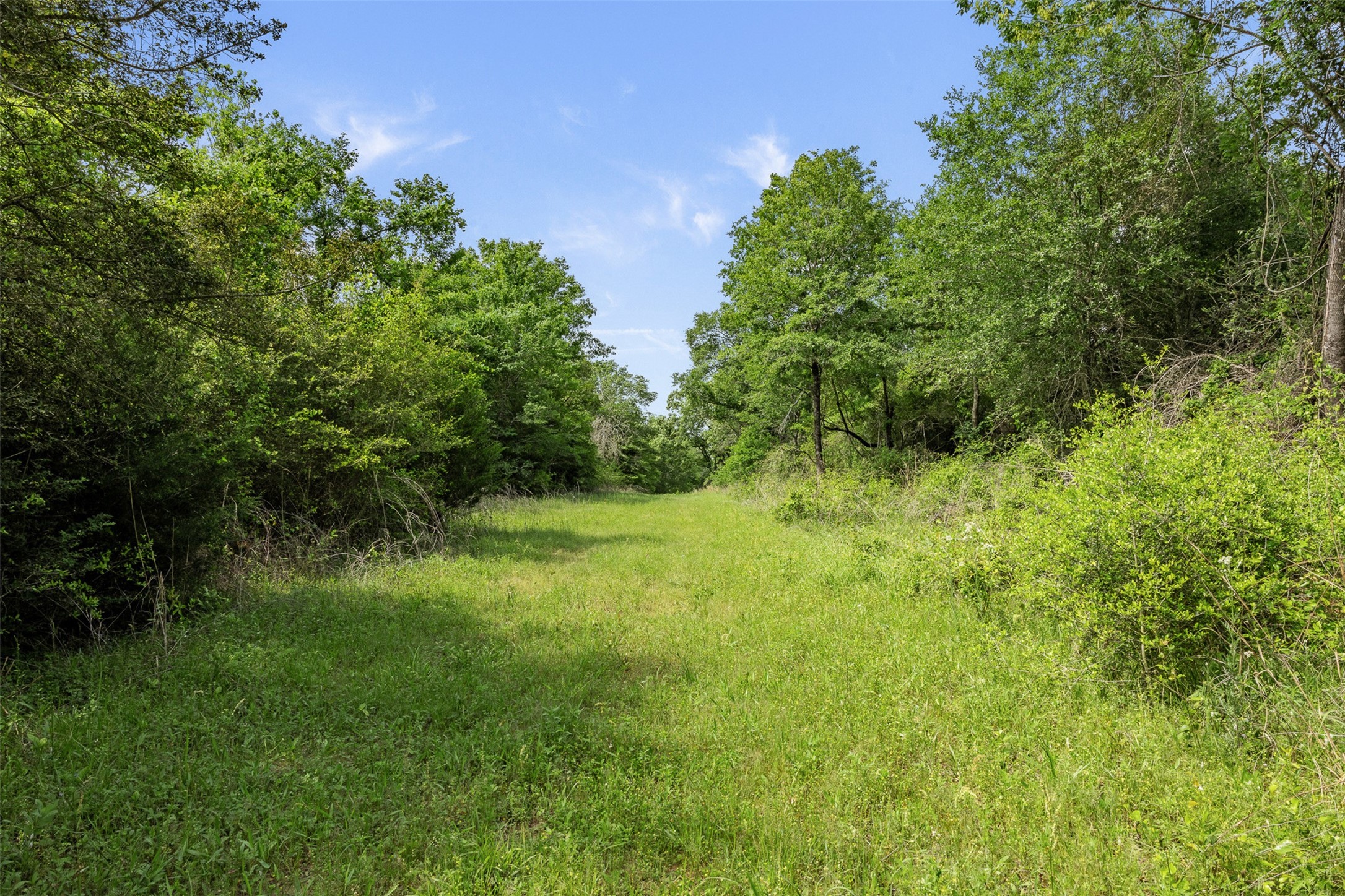 +/- 400 Ac Fm 2289 Property Photo 3
