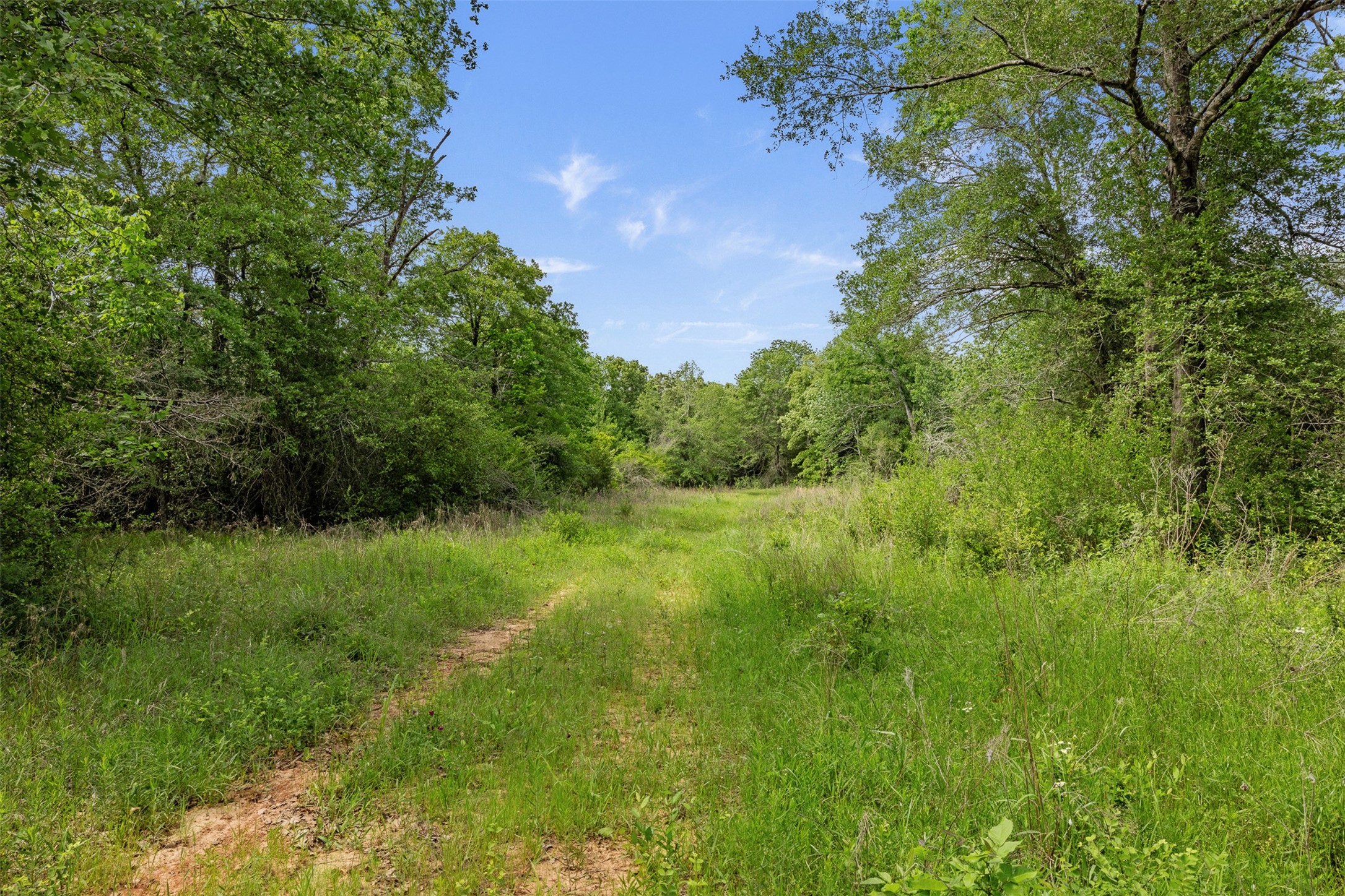 +/- 400 Ac Fm 2289 Property Photo 4