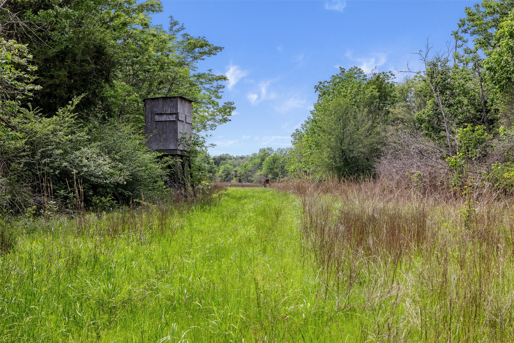 +/- 400 Ac Fm 2289 Property Photo 5