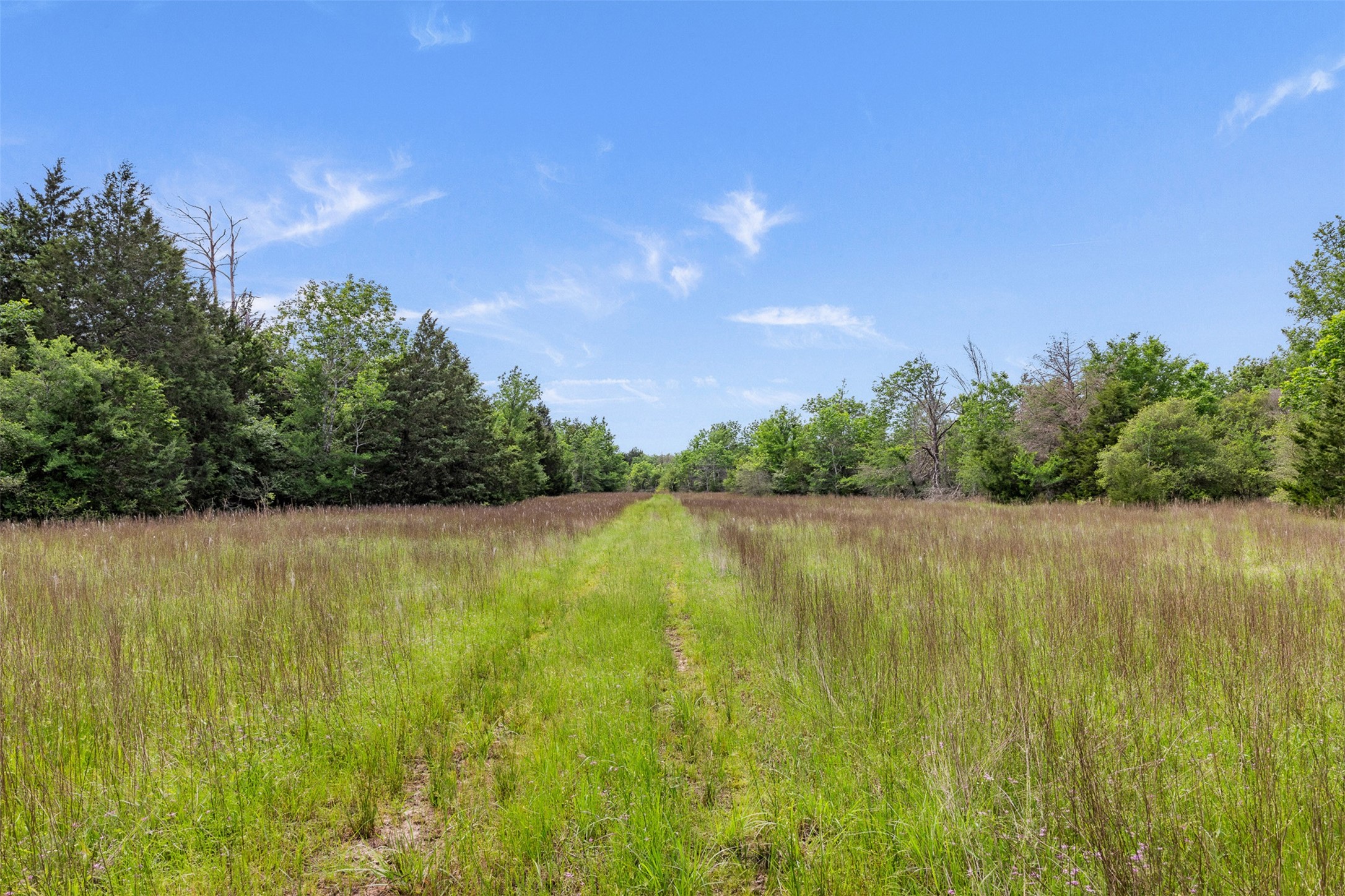 +/- 400 Ac Fm 2289 Property Photo 6