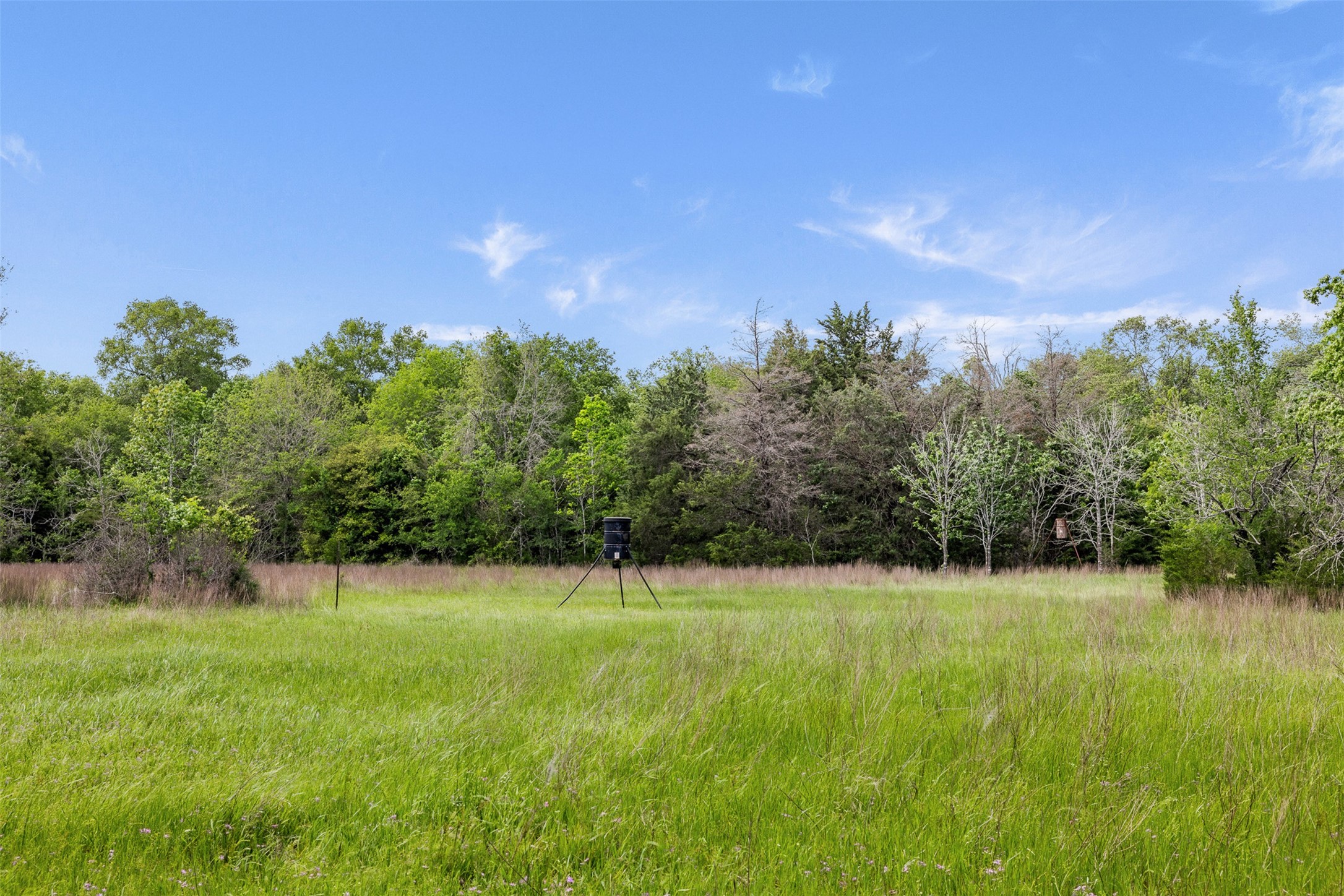 +/- 400 Ac Fm 2289 Property Photo 7