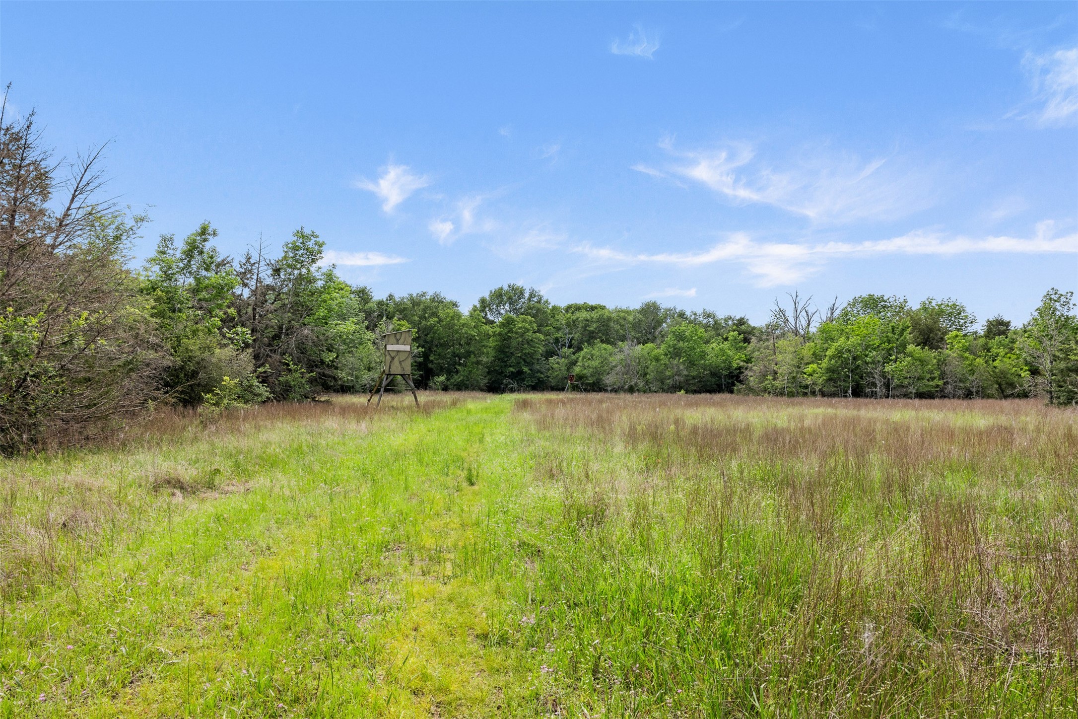 +/- 400 Ac Fm 2289 Property Photo 8
